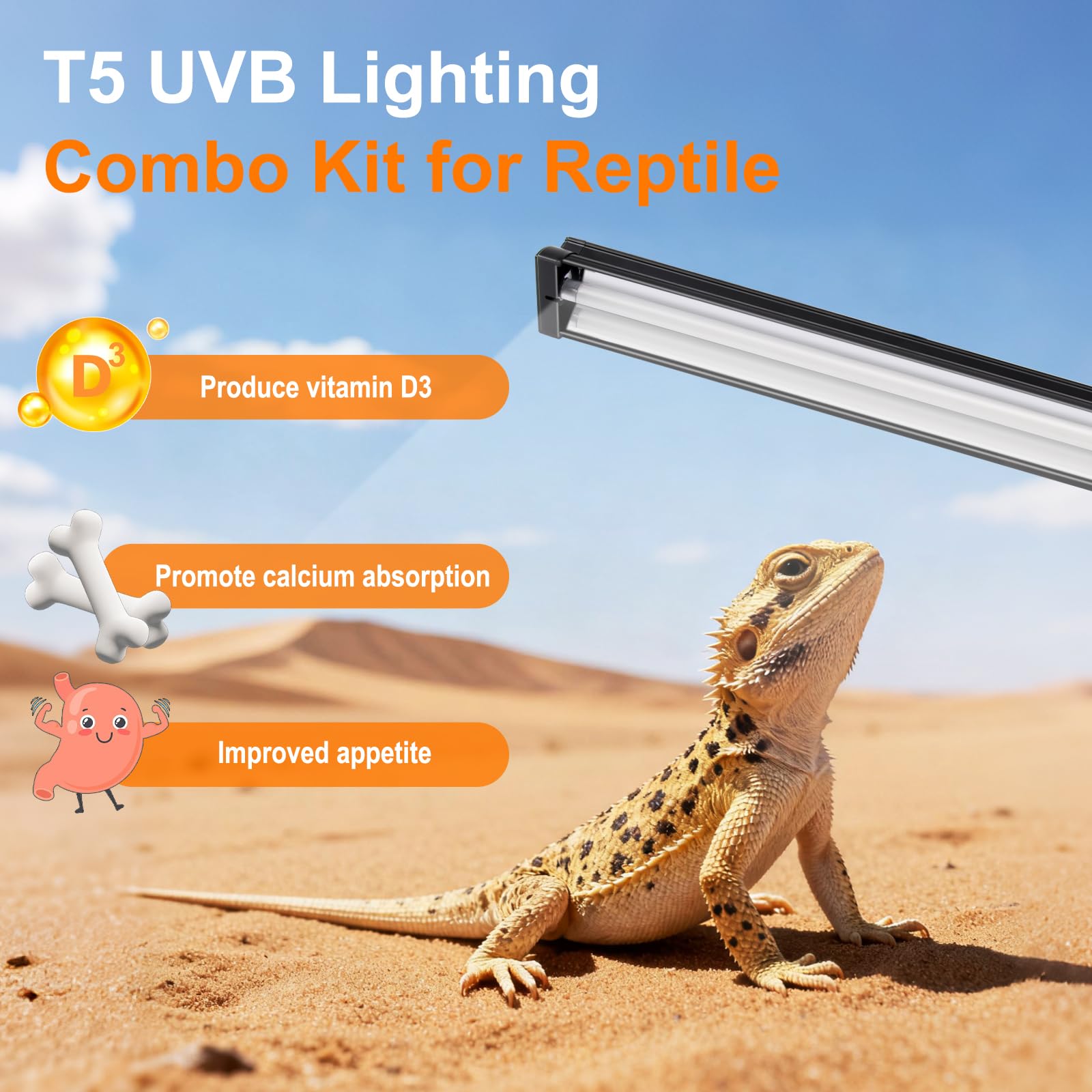 T5 UVB Light for Reptiles, 10.0 8W HO UVA UVB Reptile Light Fixture, 12 Inch Lamp Tube for Bearded Dragon, Tortoise, Lizards, Reptiles and Amphibians - image 2