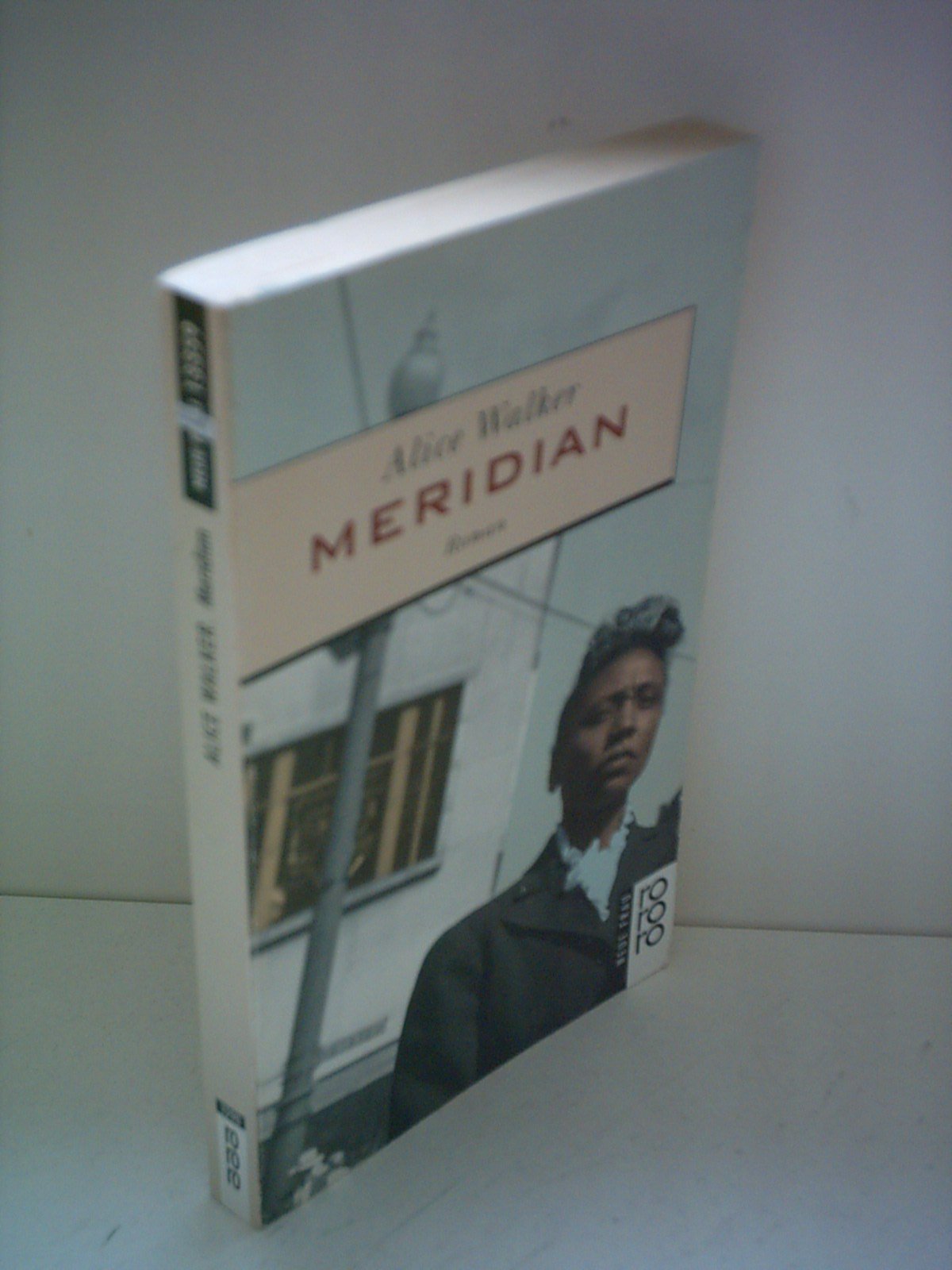 By Alice Walker - Possessing The Secret Of Joy (New Ed)