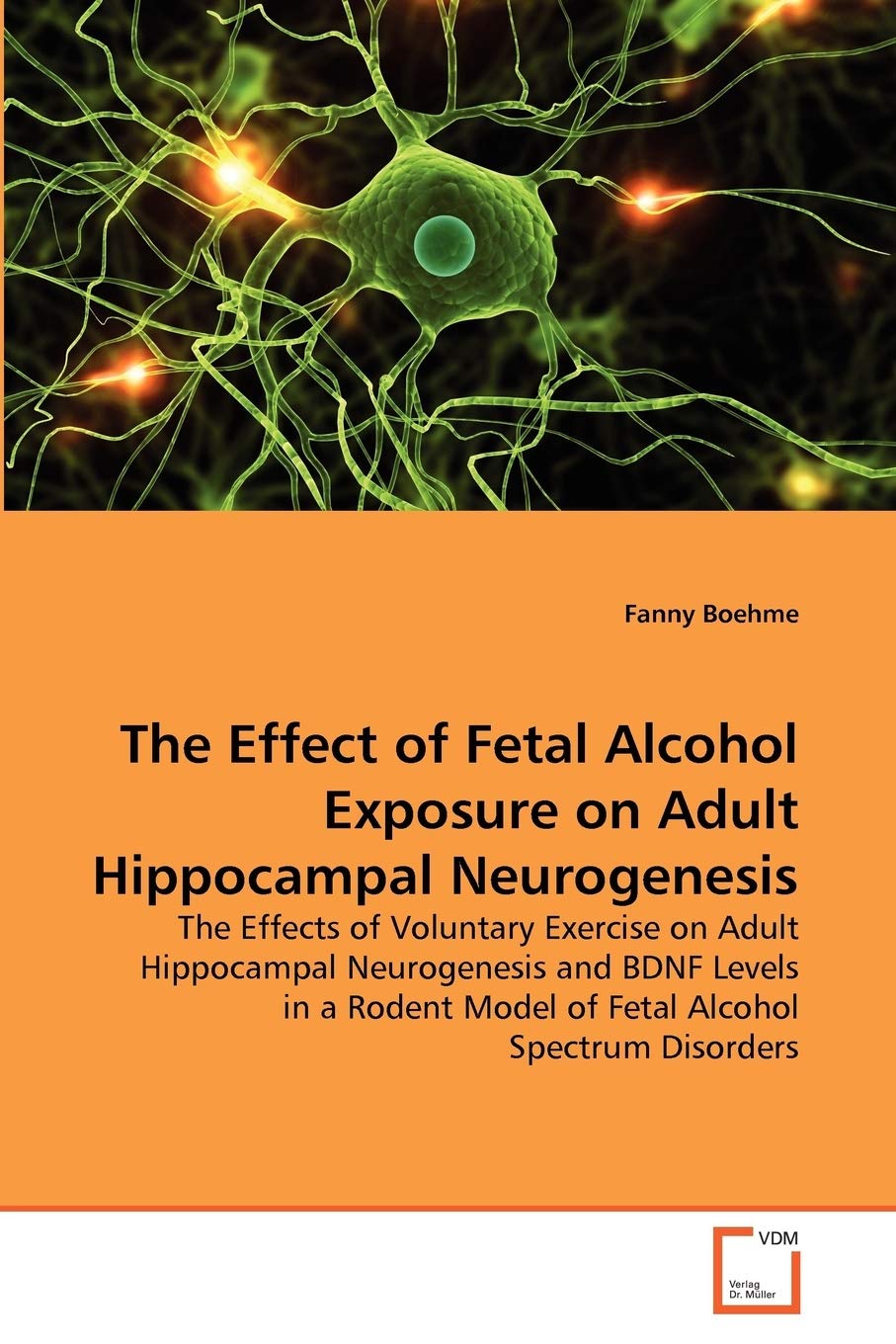 The Effect of Fetal Alcohol Exposure on Adult Hippocampal Neurogenesis