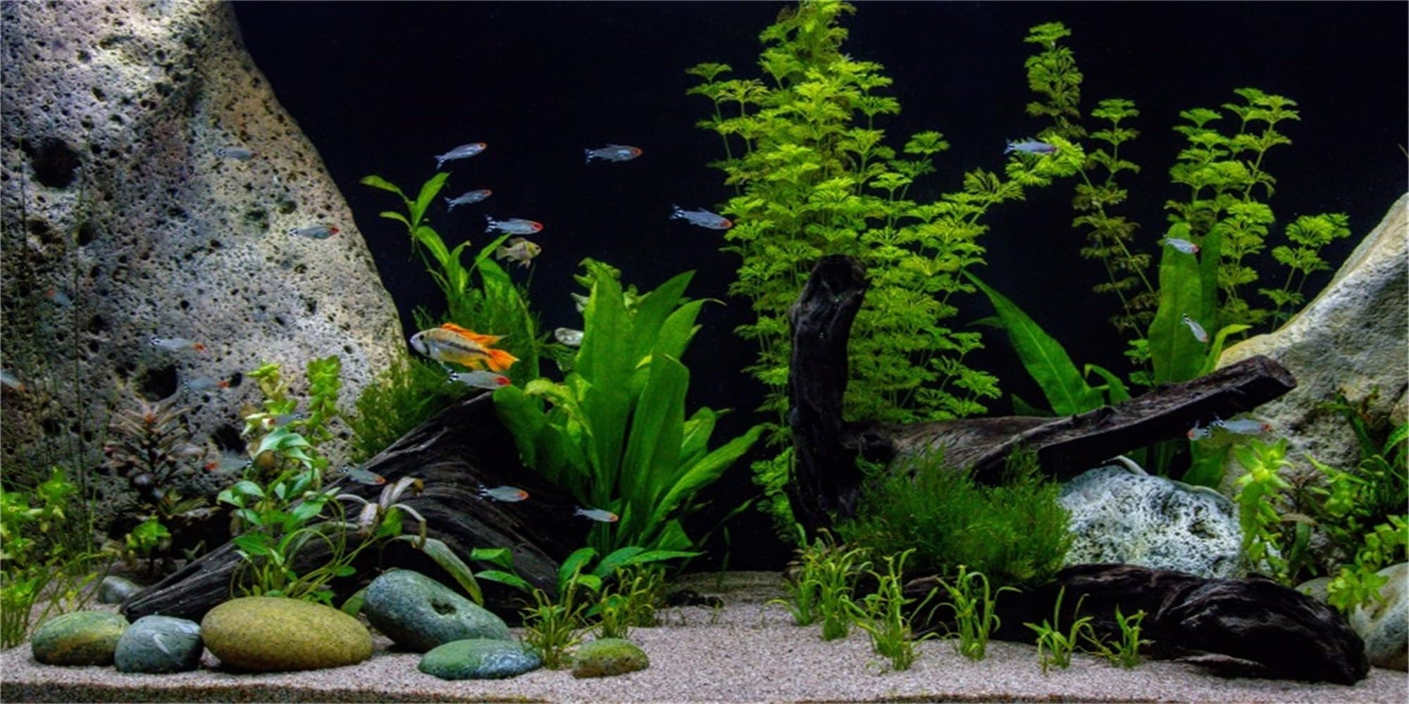 MIRRORANG 120x46cm Vinyl Underwater Aquatic Plant Fish Tank Background Stone River Bed & Lake Aquarium Background