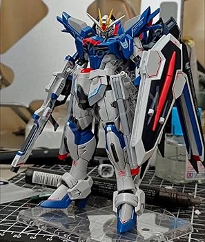 ロボット HG DESTINY GUNDAM & RIGEN FREEDOM GUNDAM Anime 