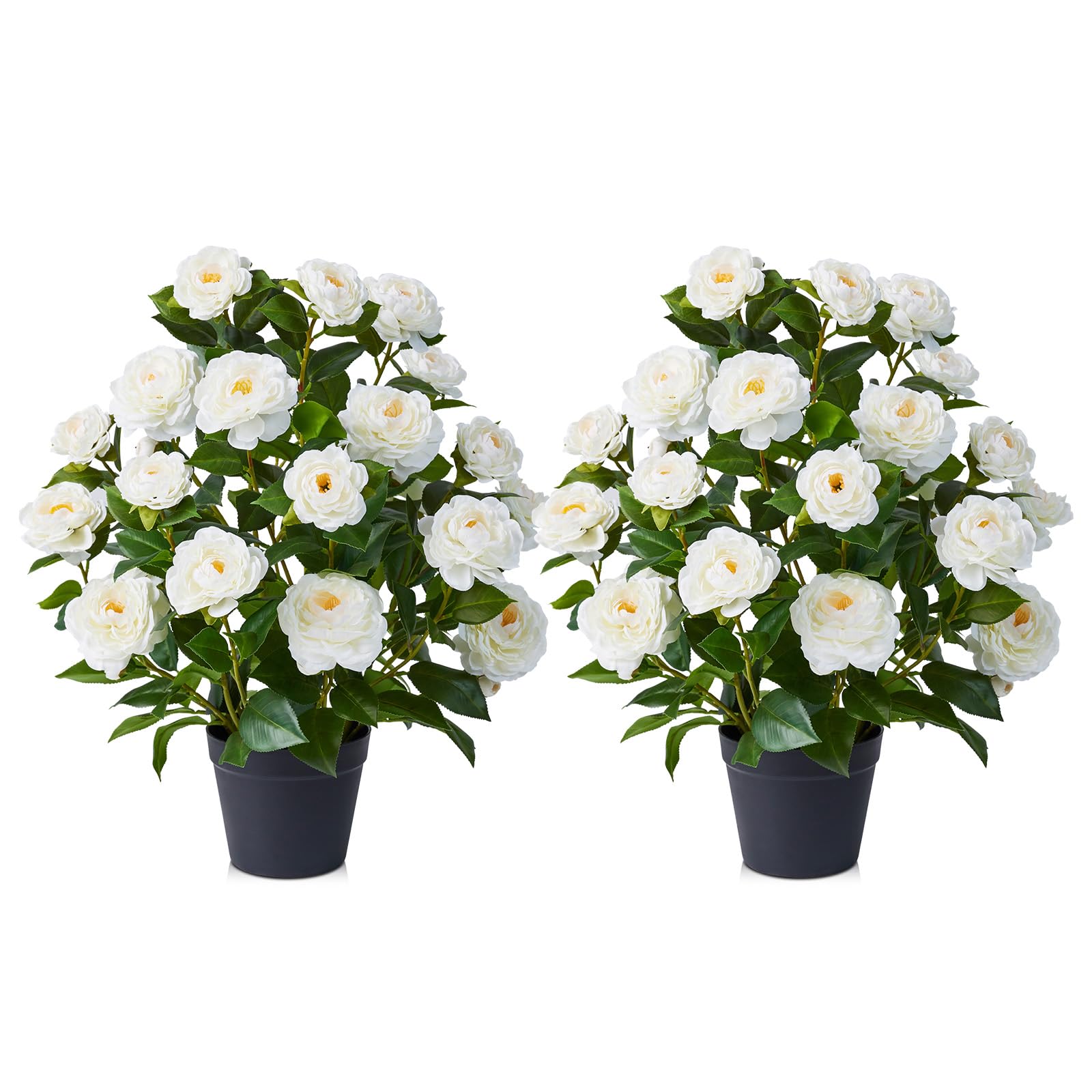 VeriNatural Künstlicher Kamelienbaum Weiß 60cm Kunstpflanze im Topf 2 Stück
