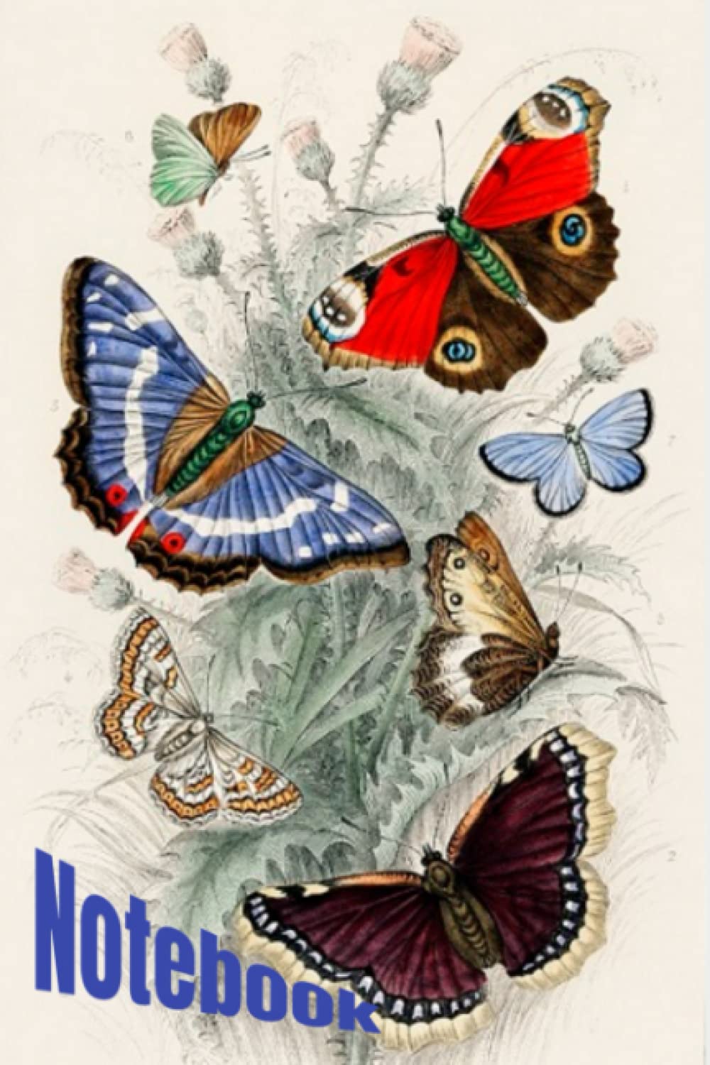 Notebook: Lined notebook