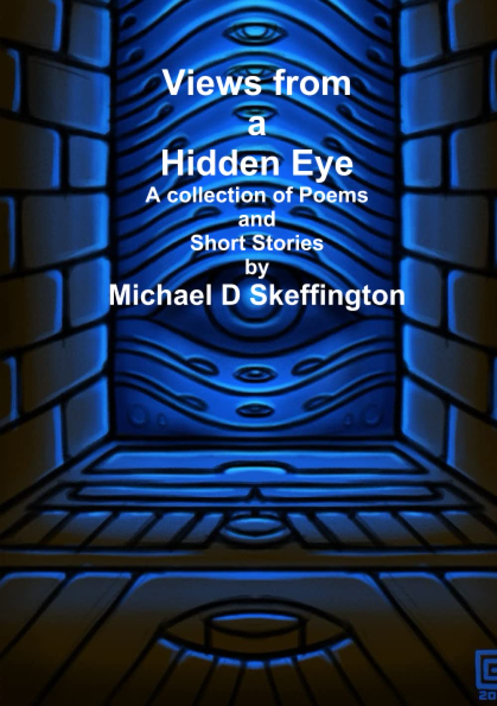 Views from a Hidden Eye