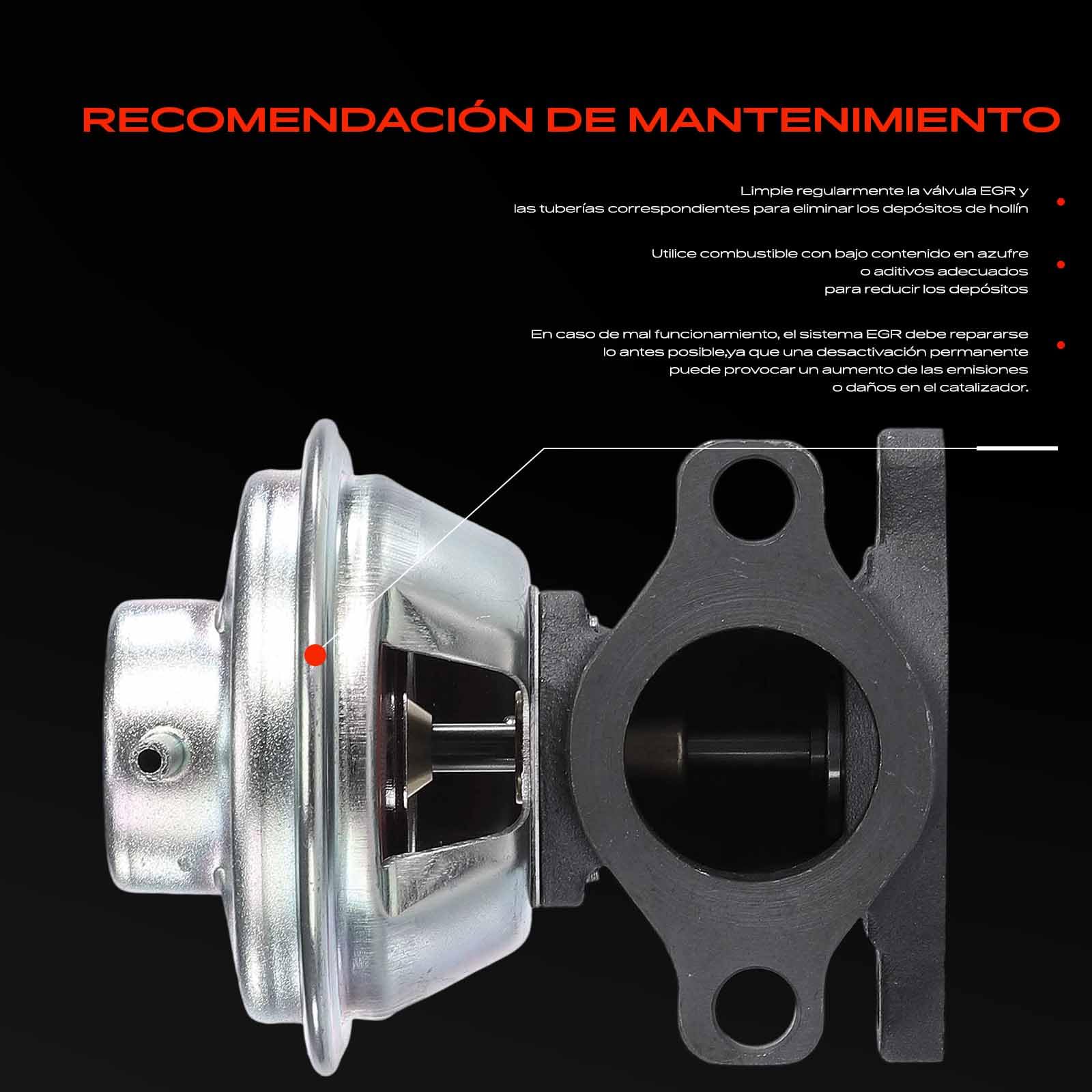 Frankberg Válvula EGR 555120 | Compatible con: Carnaval II GQ