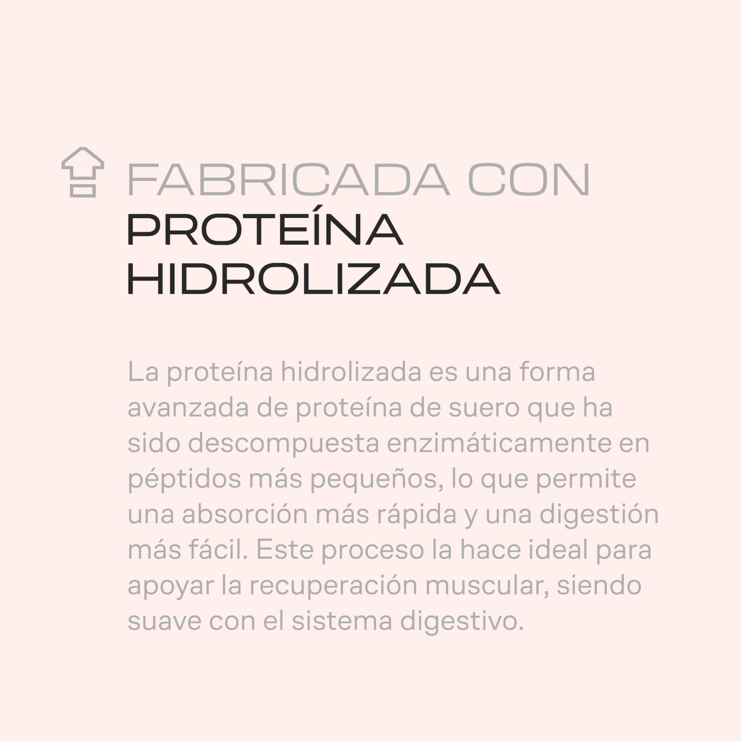 Beverly HYDRO PROTEIN – Proteína Hidrolizada de Suero con DigeZyme® y Tolerase® | 29 g Proteína por Ración | 1 kg (28 Servicios) | Alta Digestibilidad (Chocolate avellana)