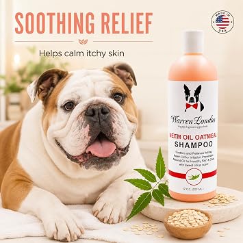 Warren London Neem & Oatmeal Dog Shampoo, 8:1 Concentrate, 1 Gallon