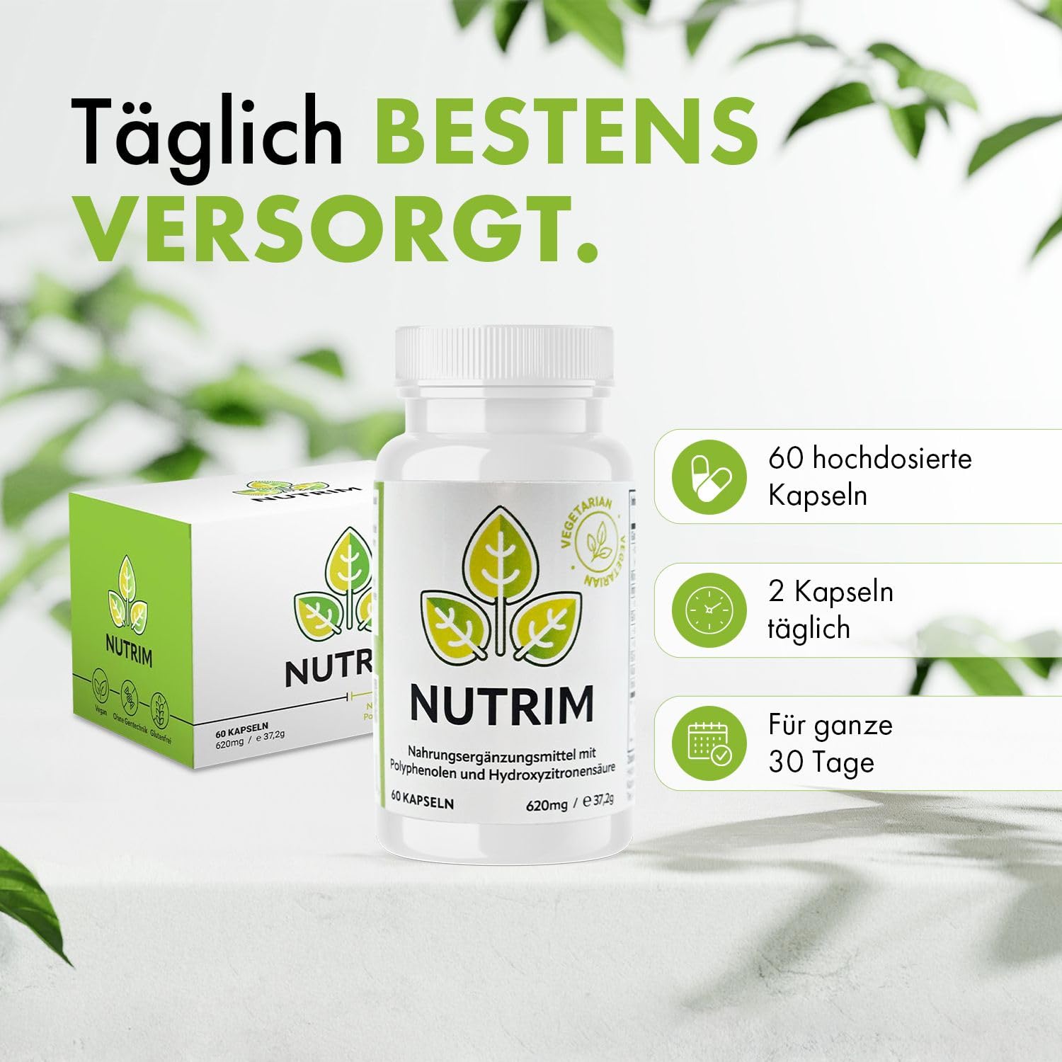 NUTRIM Superfood-Komplex – 3 x 60 vegane Kapseln mit Knotentang, Ingwer, Grünem Tee, Grünem Kaffee und Kardamom – natürliche Unterstützung für Ihre Ernährung - Nahrungsergänzungsmittel