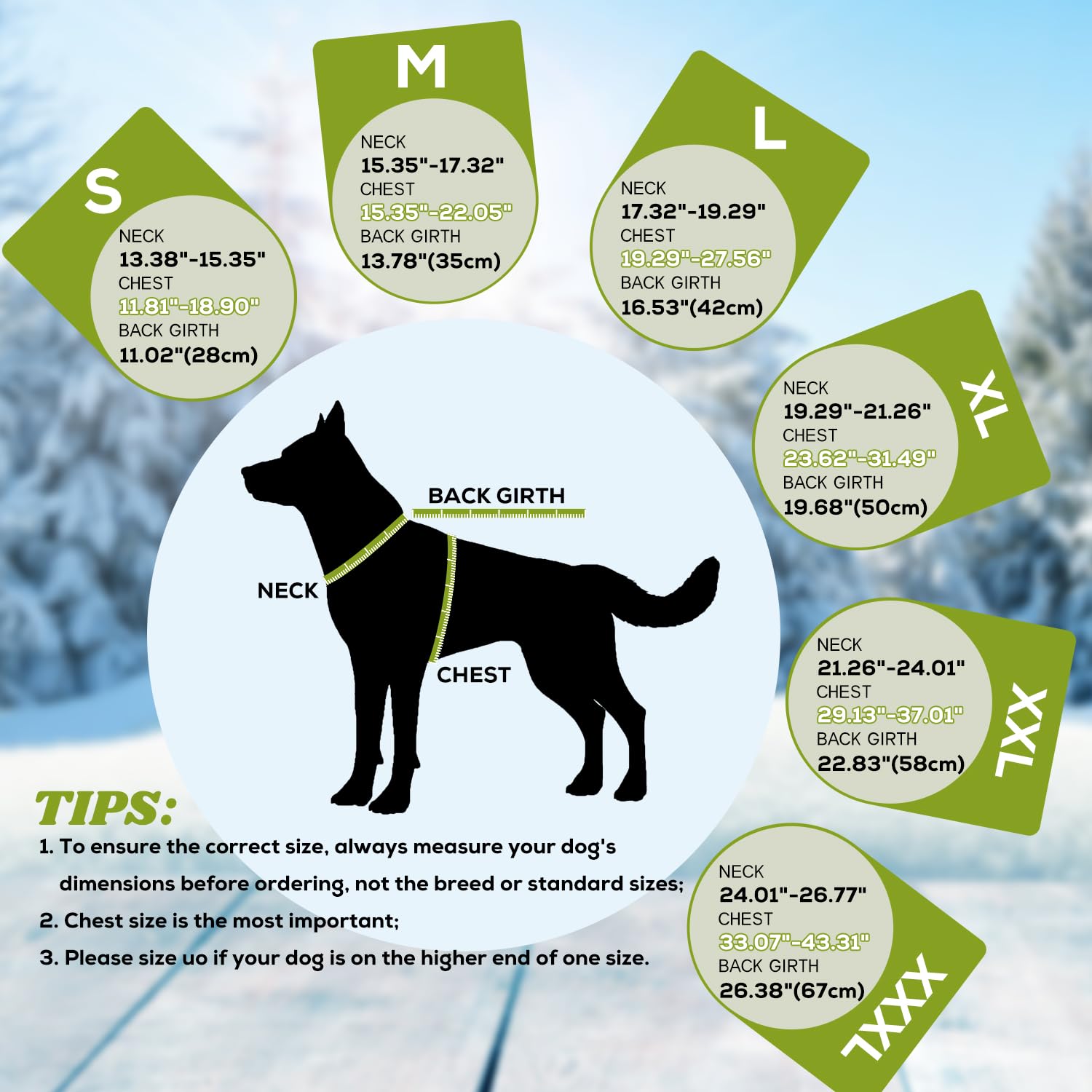 EMUST Cappotti Invernali per Cani, Fodera in Pile, Taglia M e XL, Vestiti Caldi per Cani di Taglia Piccola e Grande, Verde