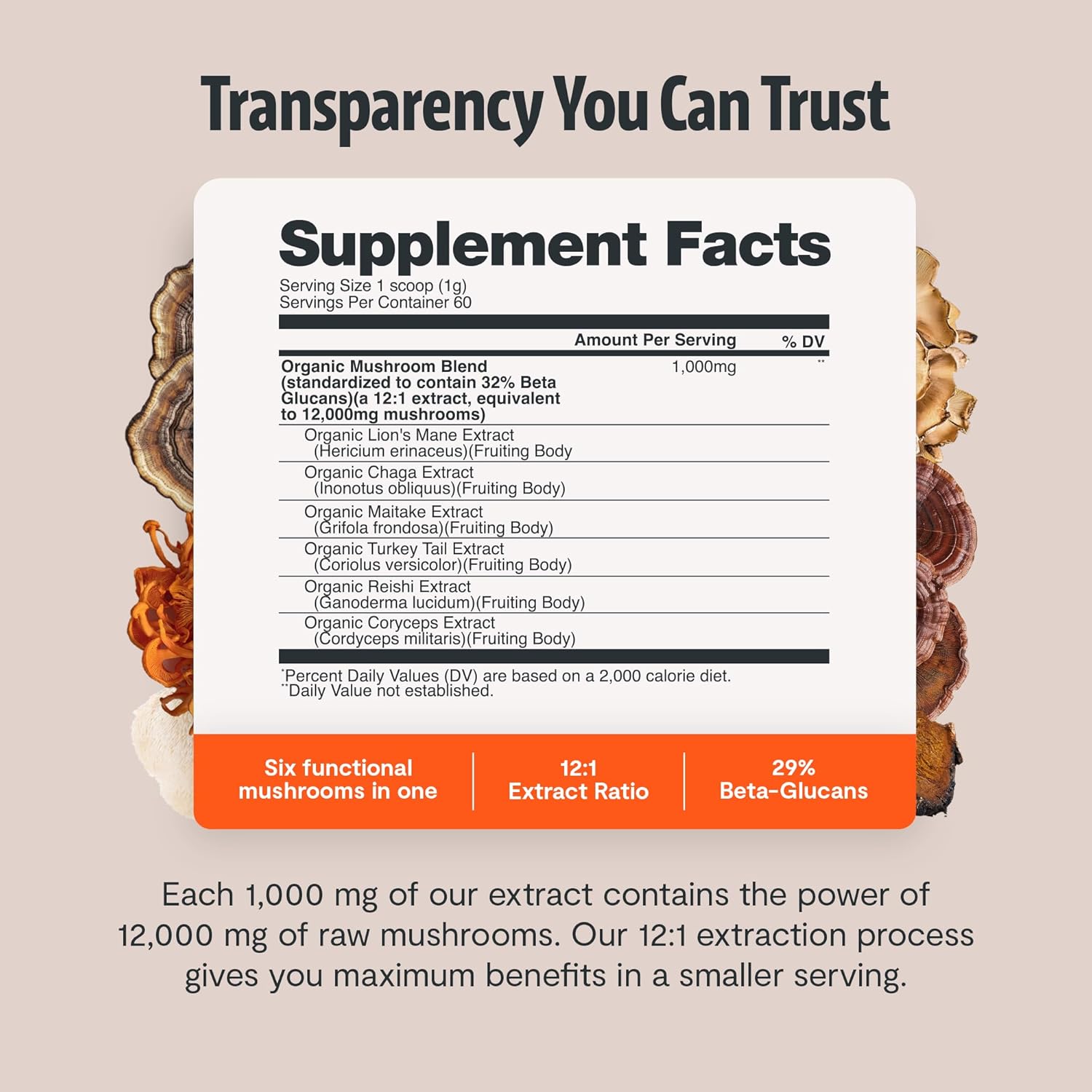 FreshCap Mushrooms Ultimate Mushroom Supplement Powder 12,000mg - Nootropic Organic Mushroom Complex for Focus & Memory, Brain Support Supplement, Ayurveda Mushroom Powder Extract (60 Servings)