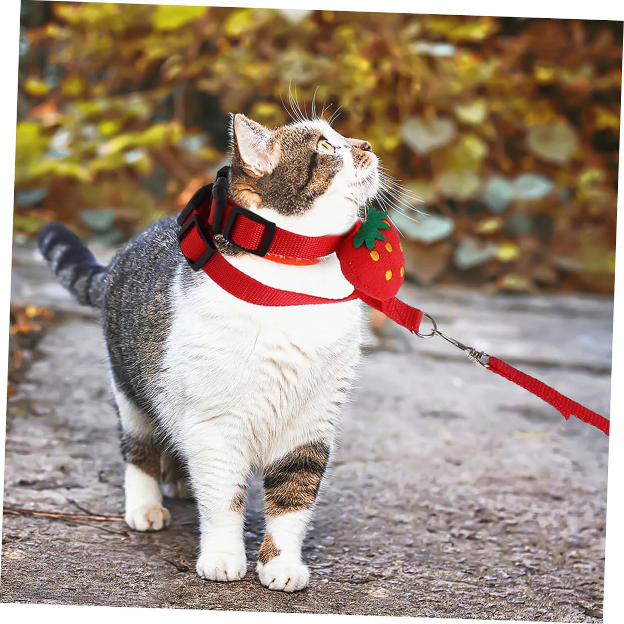 VICASKY 4Pcs Adjustable Bunny Rabbit Harness Leash Set Small Pet Vest for Kittens Puppies Cats Dogs Comfortable Flexible Design for Safe Outdoor Walking