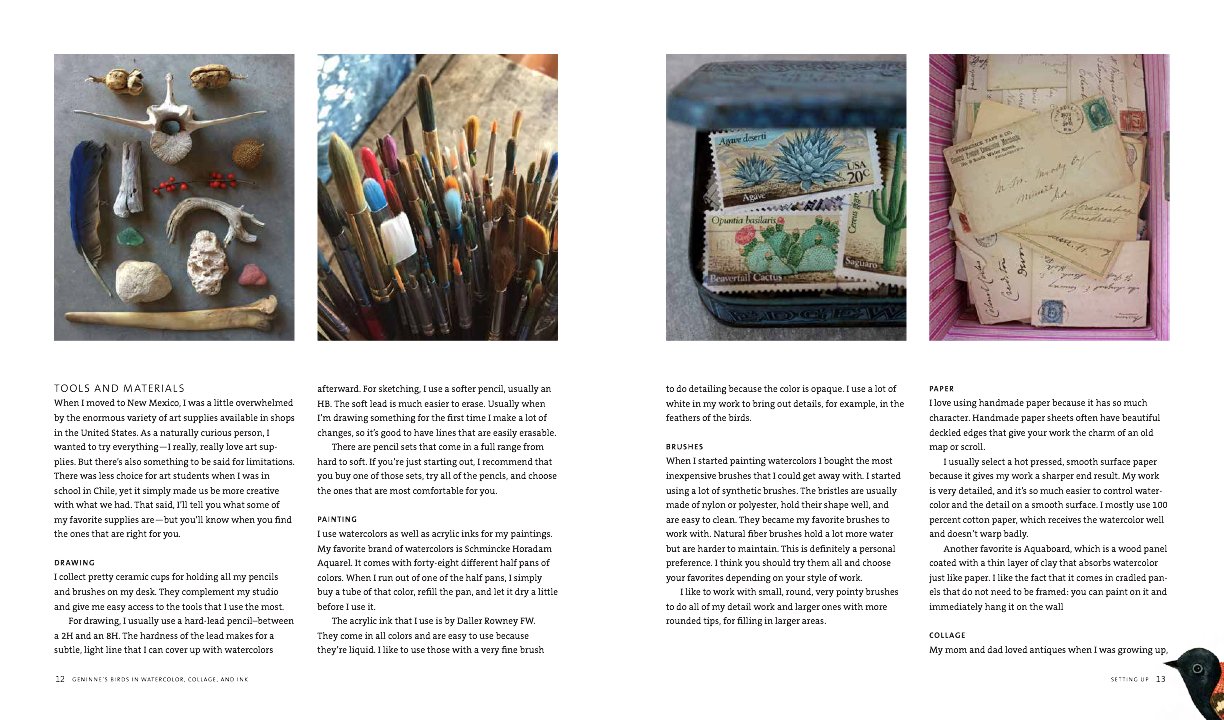 Geninne's Art: Birds In Watercolor, Collage, And Ink: A Field Guide To Art Techniques And Observing In The Wild : Zlatkis, Geninne D.: Amazon.co.uk: Books