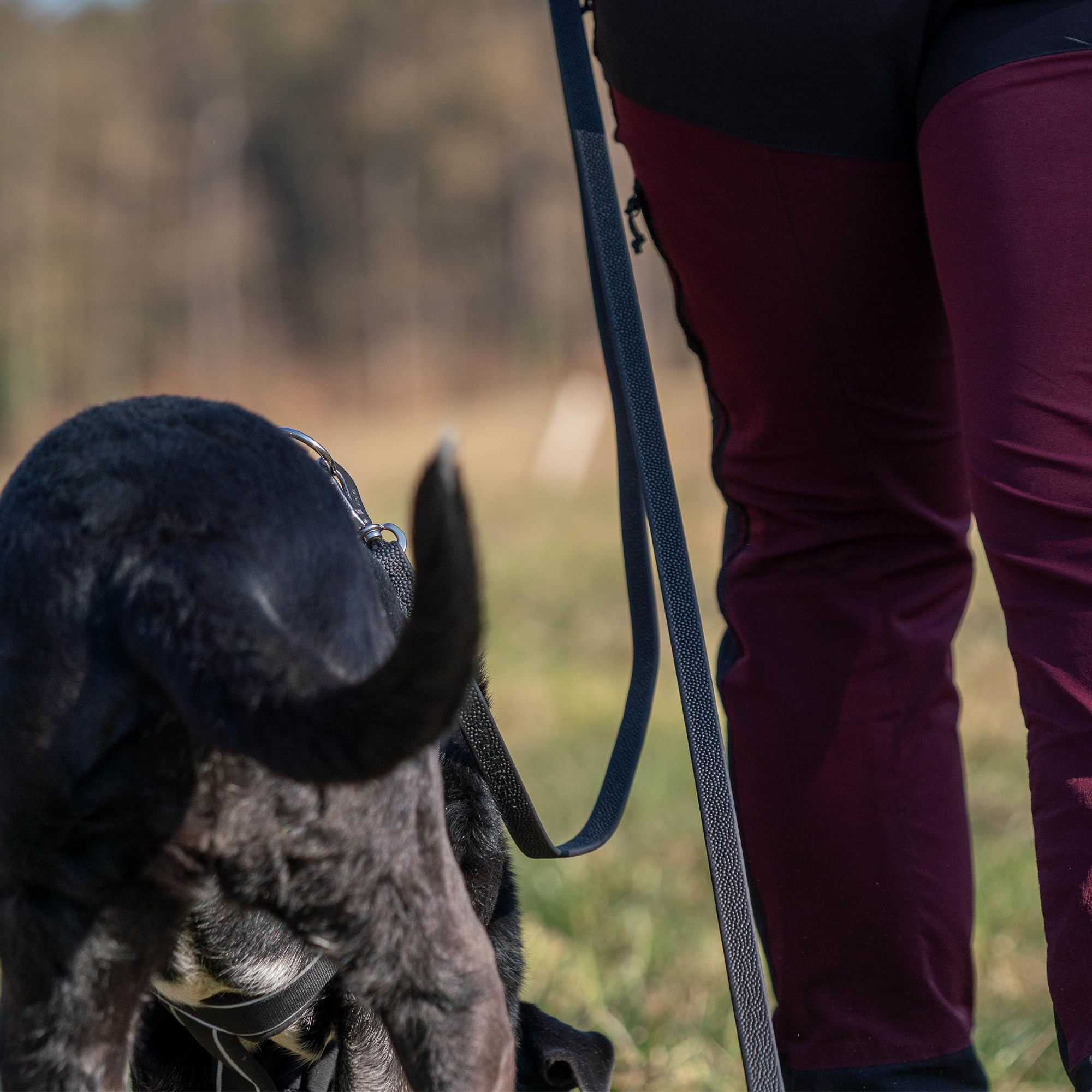 SPRENGER Footballgrip BioThane Schleppleine 10 m - ohne Handschlaufe, schwarz - robuste Hundeschleppleine für Training, Arbeit und Alltag