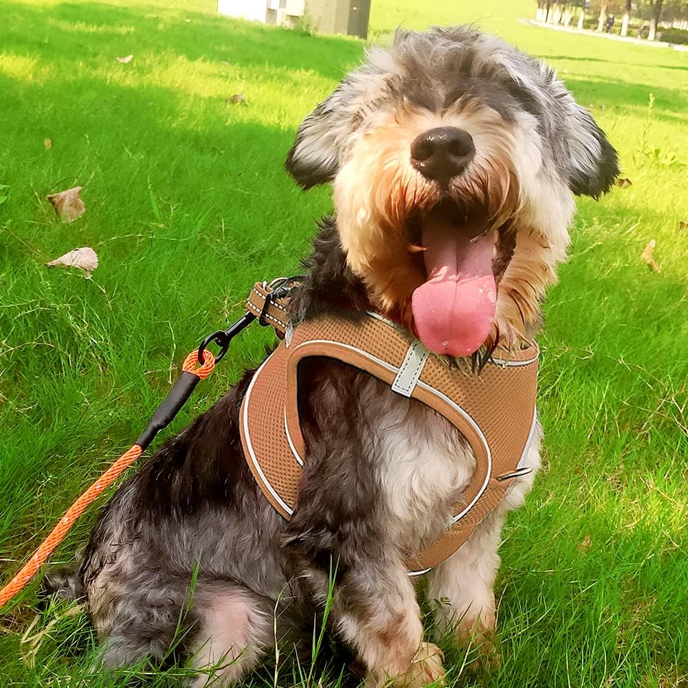 Joytale Step in Dog Harness,12 Colors,Breathable Mesh Vest Harness,Reflective Soft Padded Harnesses for Small and Medium Dogs,Teal,M : Pet Supplies