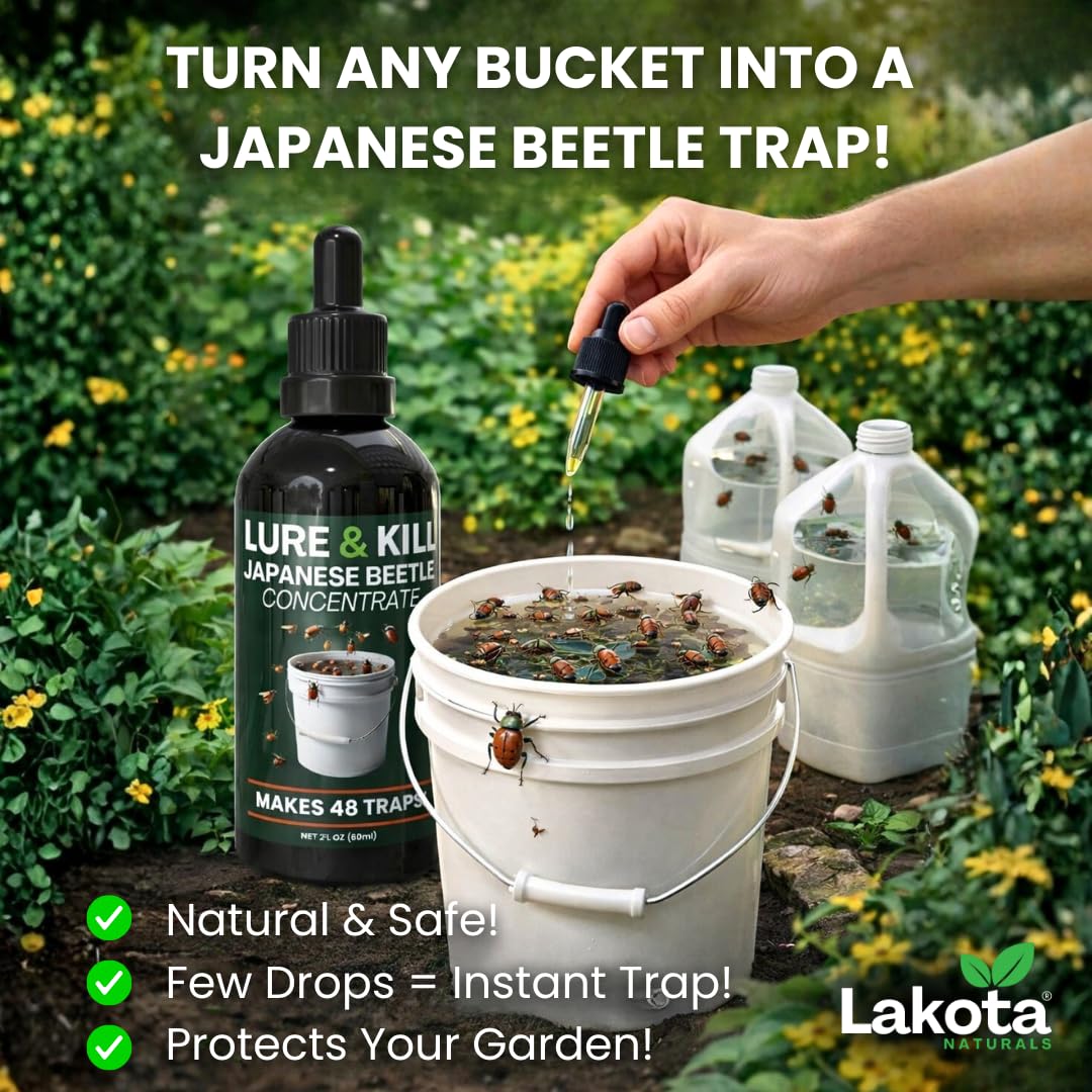 Amazon.com : Japanese Beetle Traps Outdoor Killer Lure & Kill
