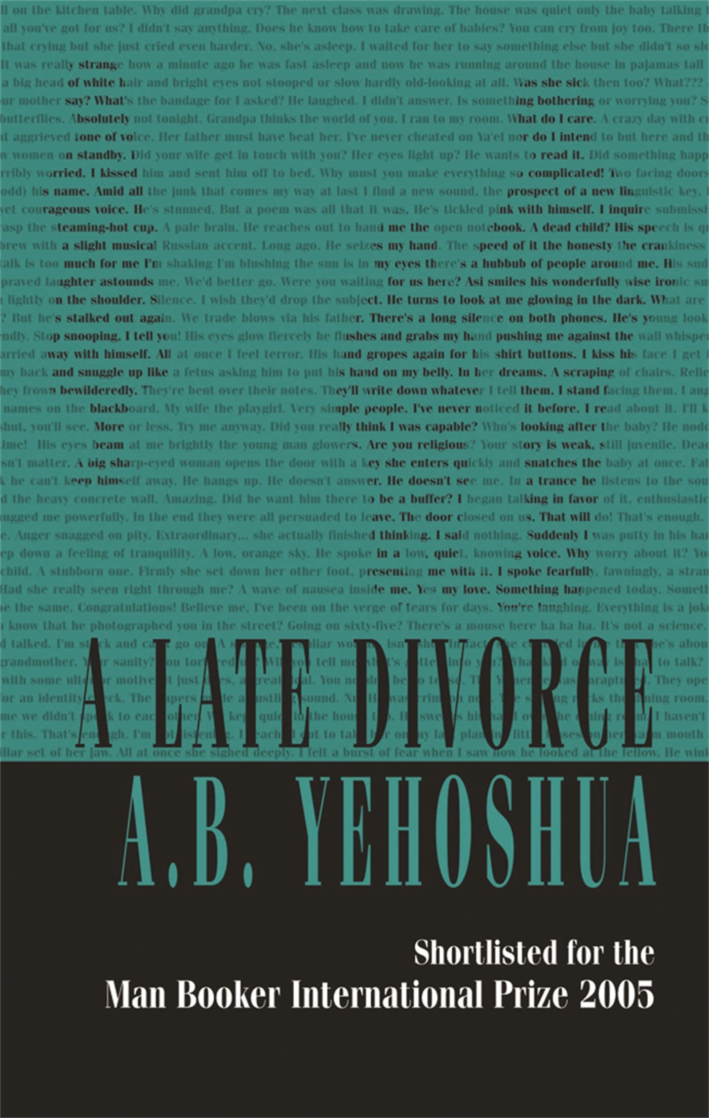 A Late Divorce by A.B. Yehoshua PAPERBACK 9781870015950