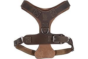 Taco Dog, Dog Harness Crafted from Pure Leather for Majestic Canines