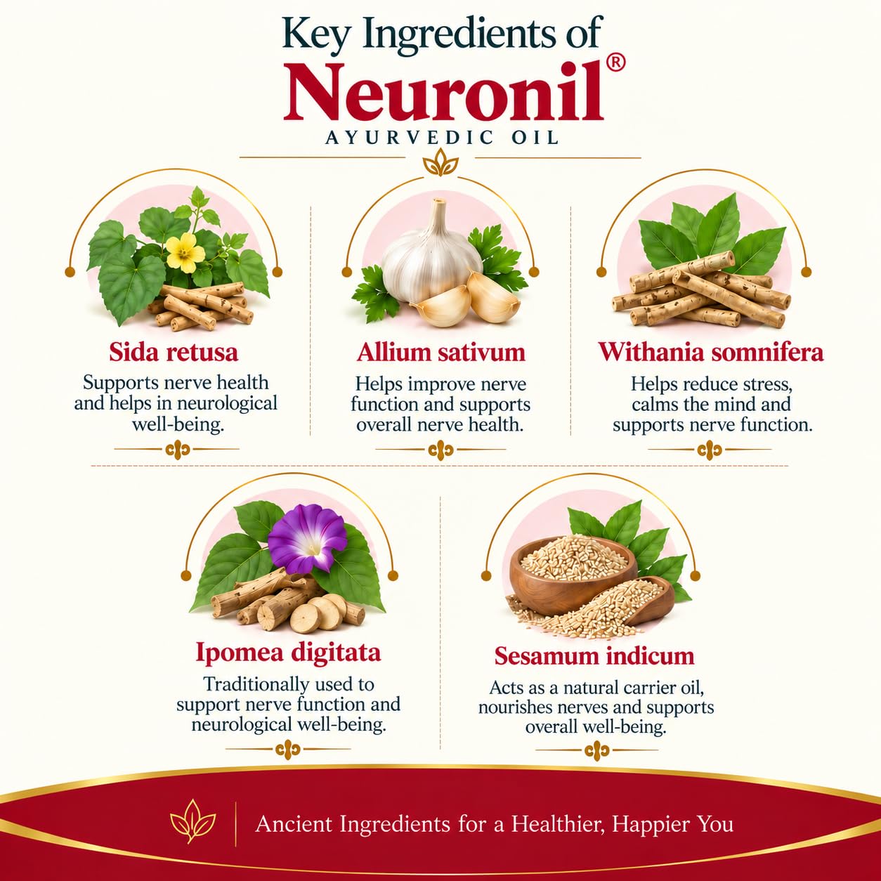 Oil | Neurological Health Support | Relief for Diabetic Neuropathy, Nerve Pain, Paralysis & Myalgia — Amazon image 4