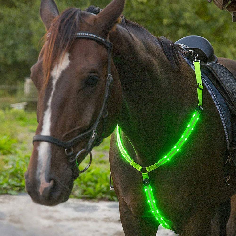 Pettorale regolabile a LED per cavalli, ad alta visibilità, attrezzatura di sicurezza per equitazione, strumenti (A)