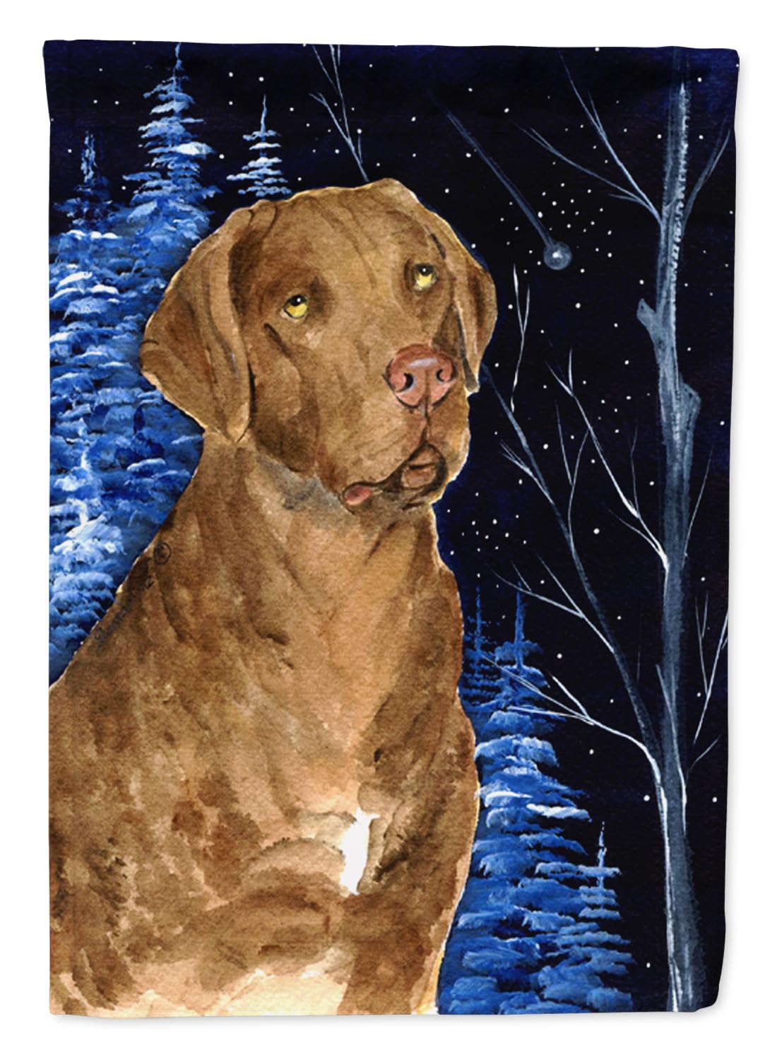 Chesapeake Bay Retriever drapeau de jardin pour extérieurs animés