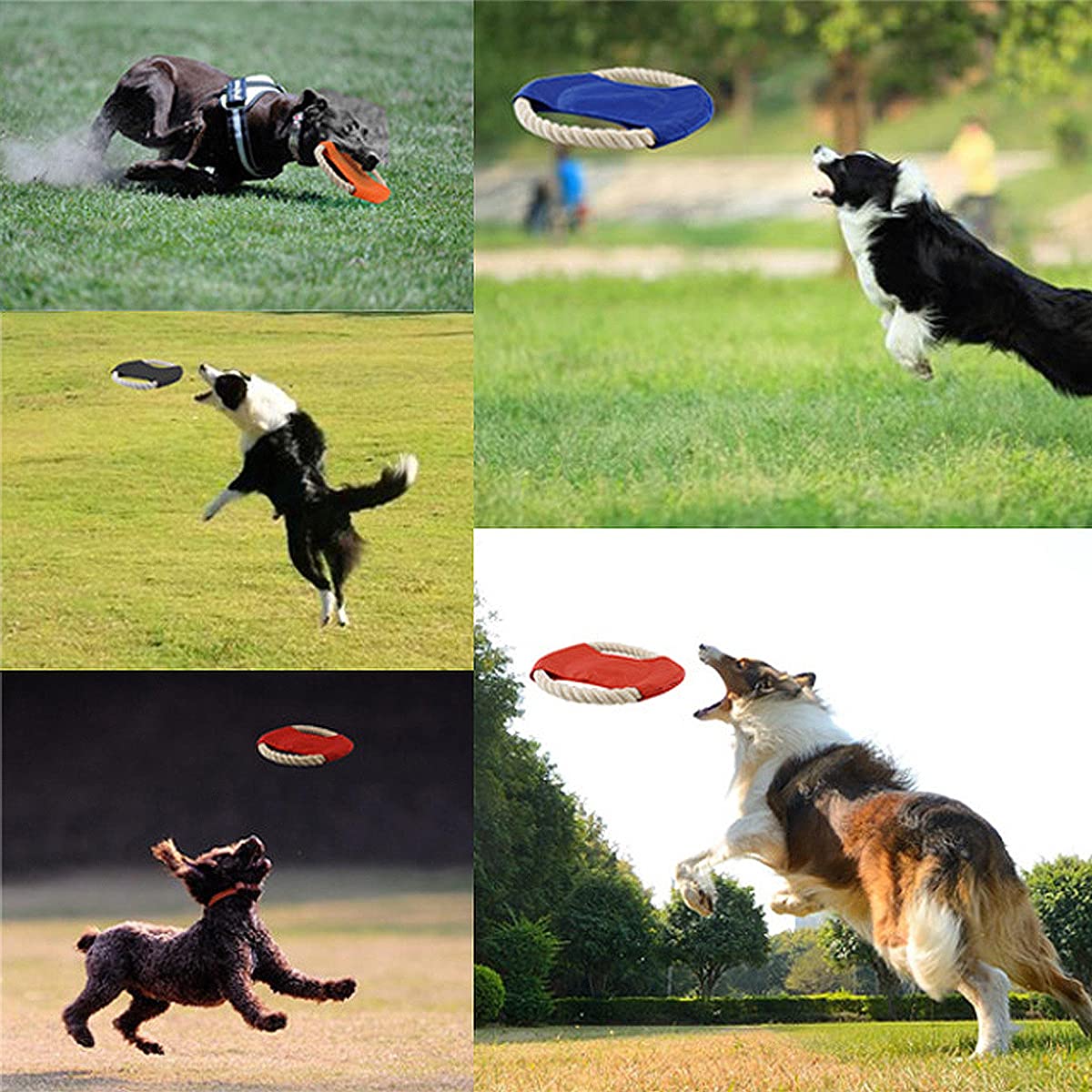 Dog Frisbee - Bite-Proof Flying Disc For Small Dogs, Interactive Outdoor Training Toy (Green)