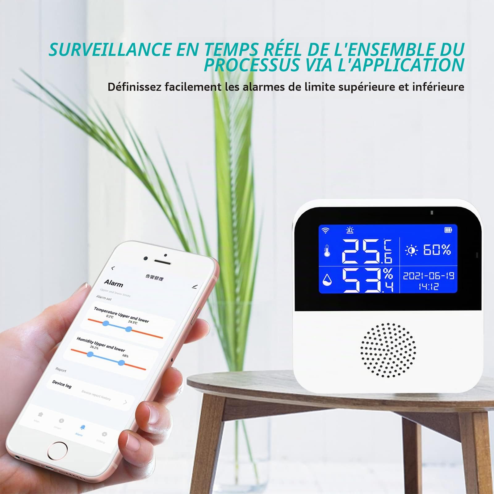 Thermomètre hygromètre sans fil WiFi Thermomètre hygromètre Application Notification et stockage de données Bluetooth Fonctionne avec Alexa/Google