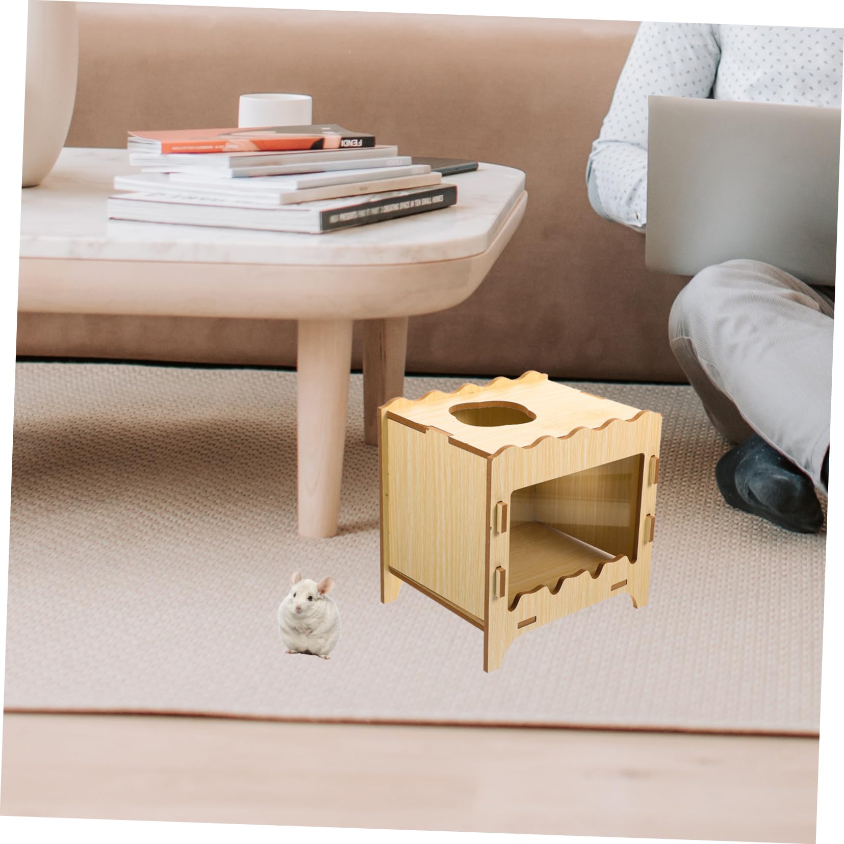 BESPORTBLE Maison pour Hamster en Bois, Boîte de Jeu Interactive et Nid Confortable pour Petits Animaux, Jouet de Cache Tuyau Hamster, Usage Intérieur et Extérieur