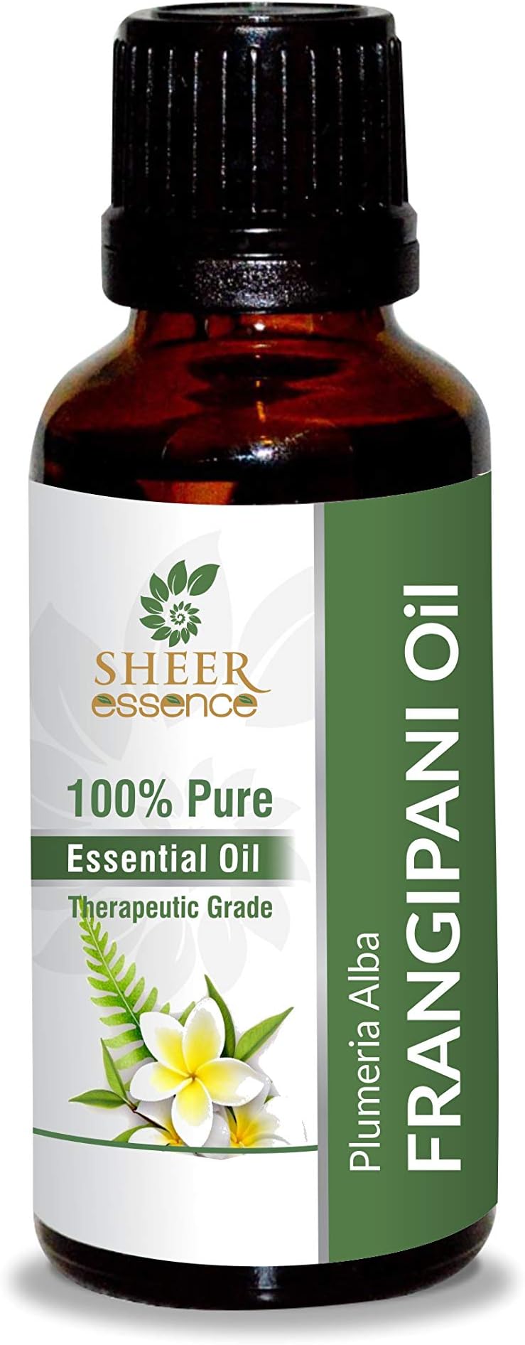 Frangipani Oil 15 ML (0.51 Fl.OZ) | 100% Pure Natural Undiluted Uncut Therapeutic Grade Plumeria Alba Essential Oil