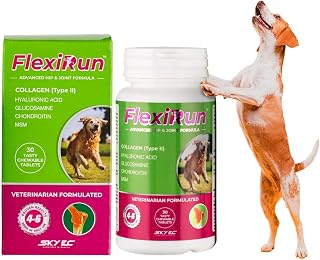KAILVET PHARMA Flexirun Hip & Joint Supplement for Dogs – Collagen Type II, Hyaluronic Acid, Glucosamine, Chondroitin & MS... Price In India