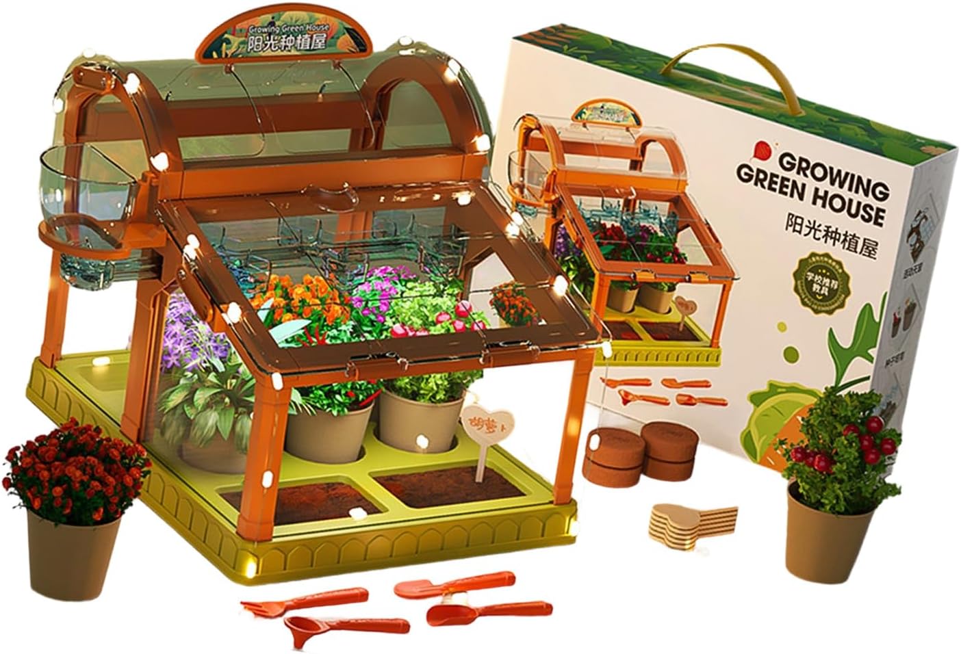 LED Enhanced Childrens Greenhouse Made with Acrylic for Indoor Plant Growing and Learning Activities Educational Plant Growth Enclosure with LED Lighting