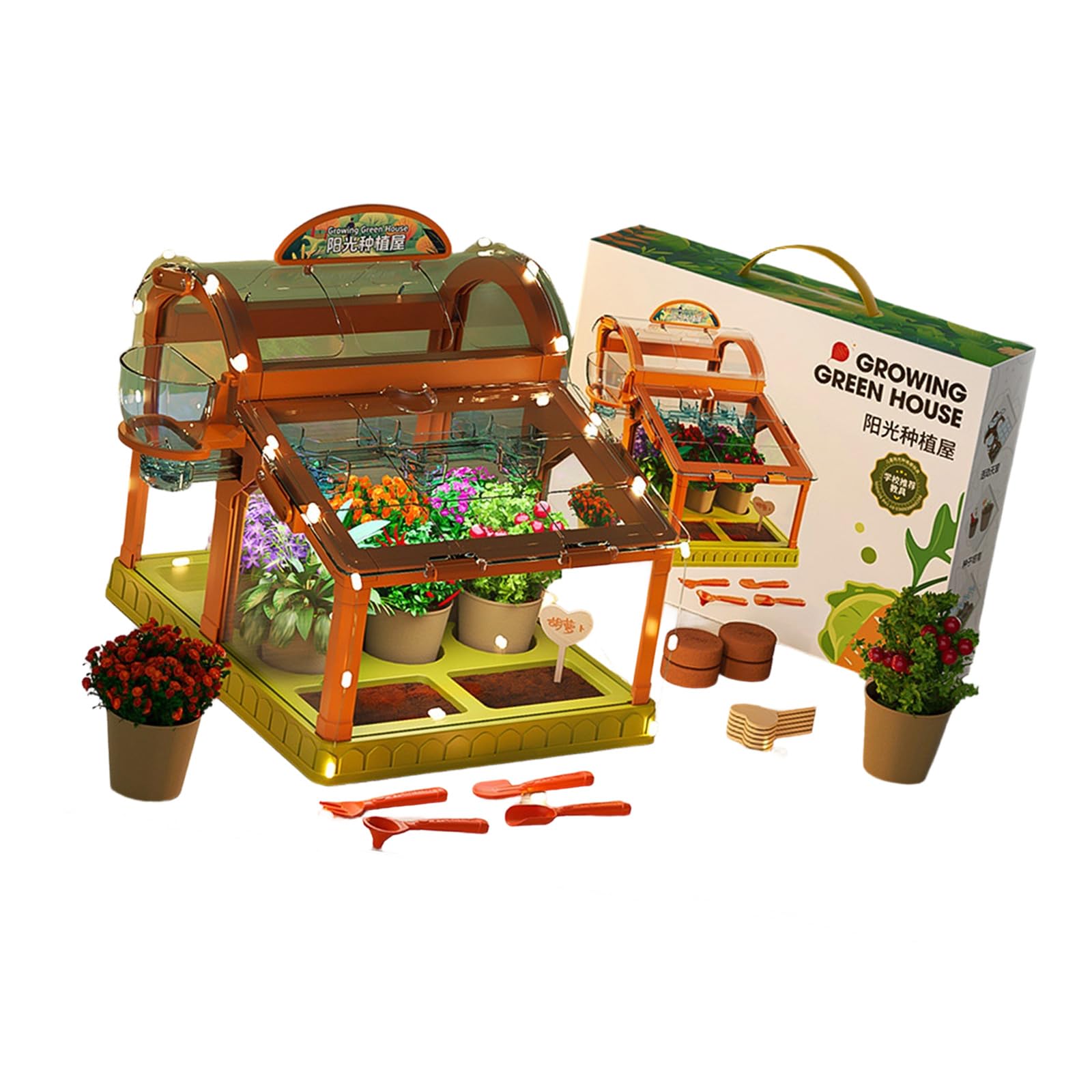 Set da giardinaggio per bambini con illuminazione a LED integrata in acrilico trasparente piccola serra per piantare casa divertente serra educativa