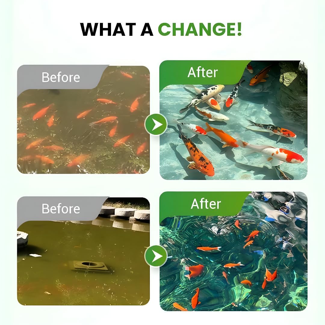 Aquatic Cleaning Powder 100gm (Pack of 2), Aquarium Water Purifier Algae & Moss Remover Powder, Fish-Safe - Crystal Clear Water & Healthy Fish, Water Treatment 2