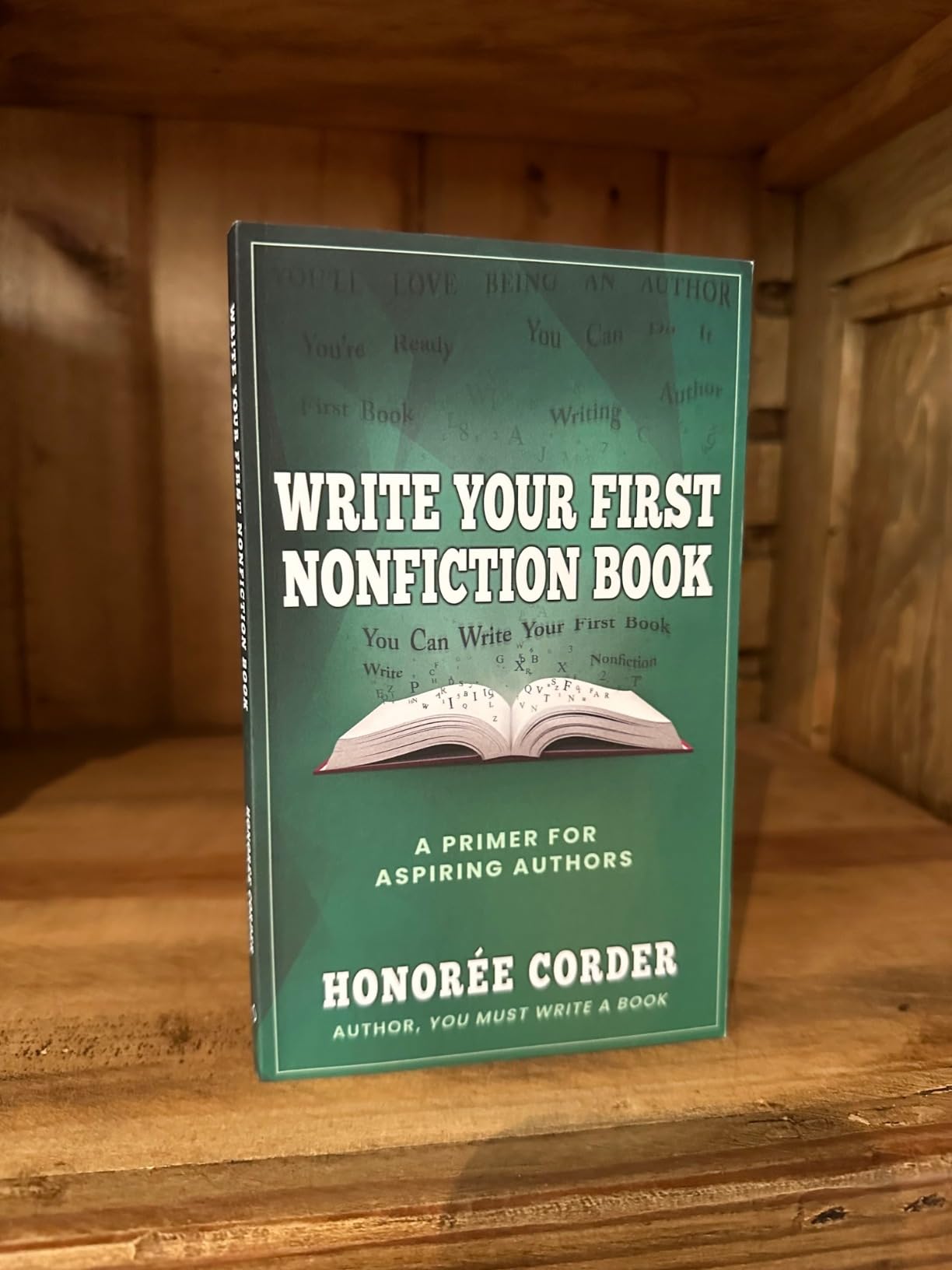 Write Your First Nonfiction Book: A Primer for Aspiring Authors ...