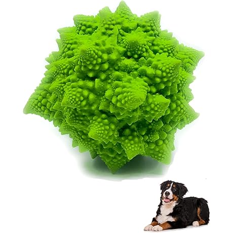 Lanco Squeaky Dog Toy - Large and Medium Dogs - Sensory Nubby Dog Toy Broccoli