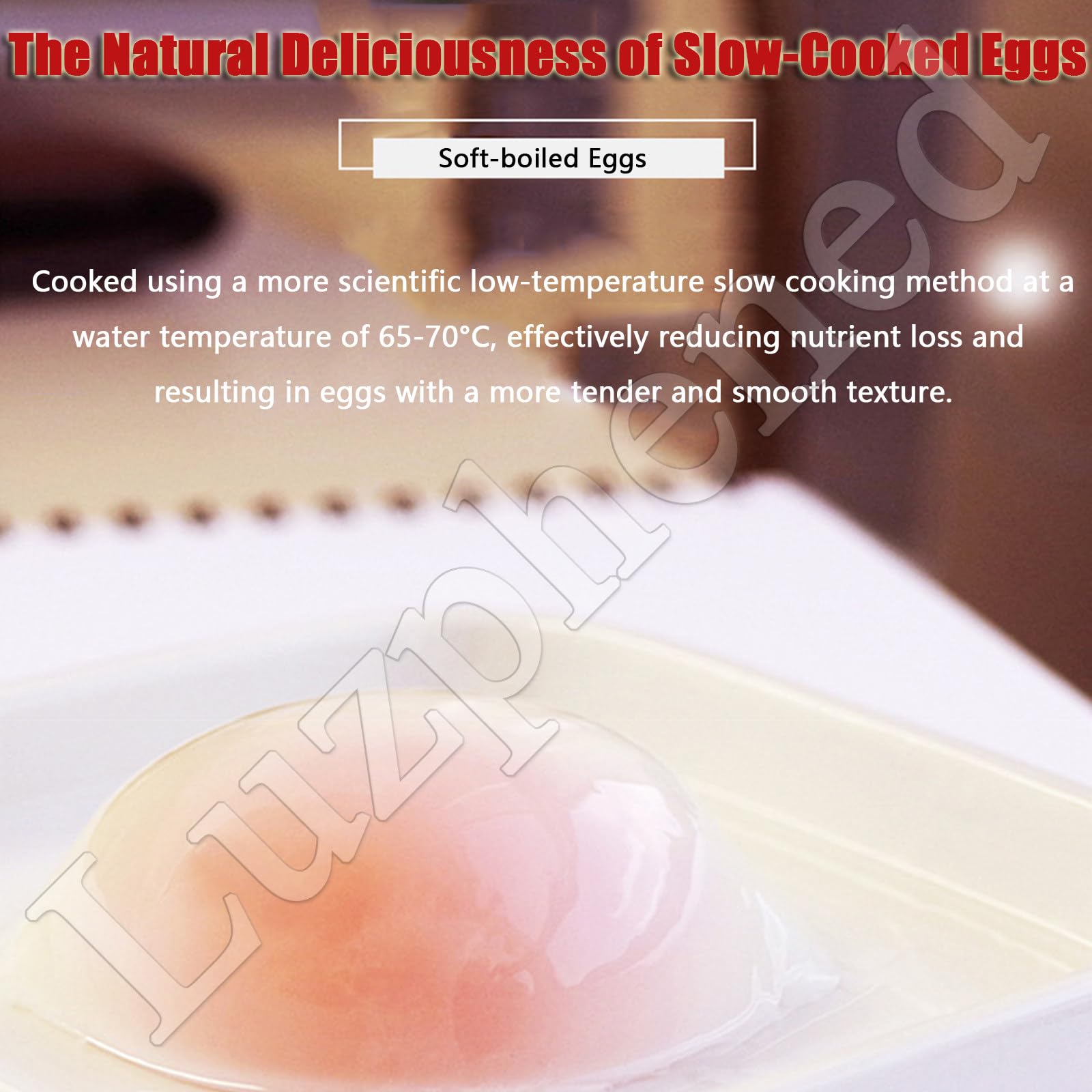 Hervidor De Huevos Automático De Aguas Termales para Uso Comercial, Cocedor eléctrico de Gran Capacidad (9 L), para onsen y para cocinar Huevos pasados ​​por Agua