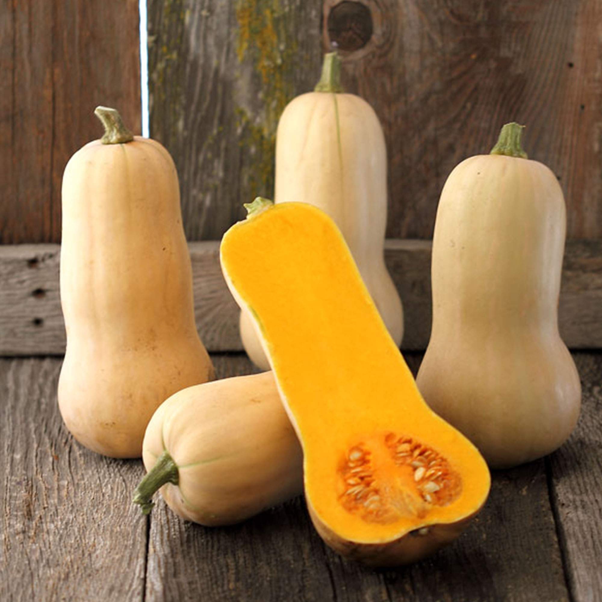 Sustainable Seed Co Organic Waltham Butternut Squash Seeds