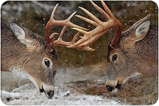 Deer Moose Bath Rugs Machine Washable Bathroom Decor Non-Slip Doormat Water Absorbent Welcome Mat for Kitchen Bedroom Floors 16" X 24"