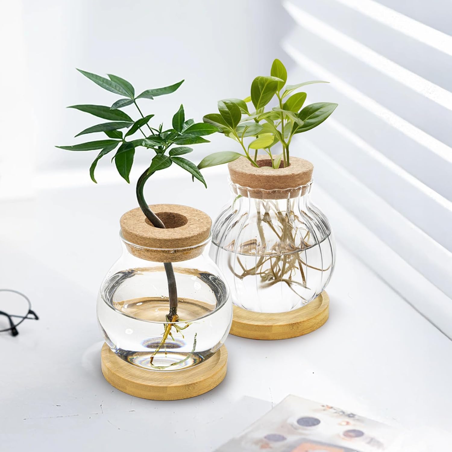3 Pack Plant Propagation Station, Tabletop Plant Terrarium with Bamboo Tray, Glass Hydroponics Plants Jars, Bulb Flower Vase for Hydroponics, Home, Office, Garden Decoration, Plant Lover - Image 7