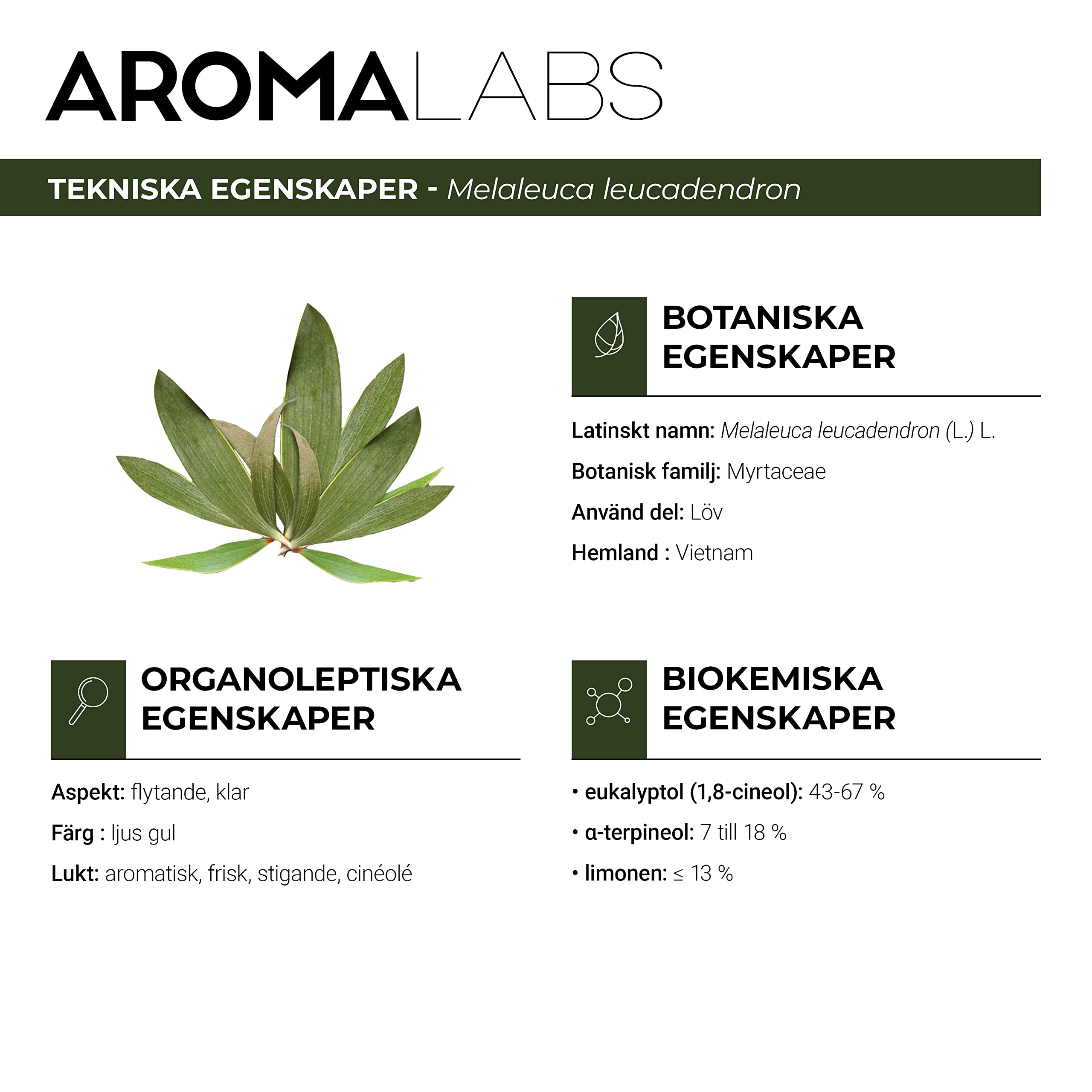 ORGANICZNY - Cajeput Olejek eteryczny - 10mL - 100% czysty, naturalny, chemotypowy i certyfikowany AB - AROMA Labs (Marka francuska)