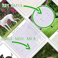 Vista 328 de Razas de Perros 2017