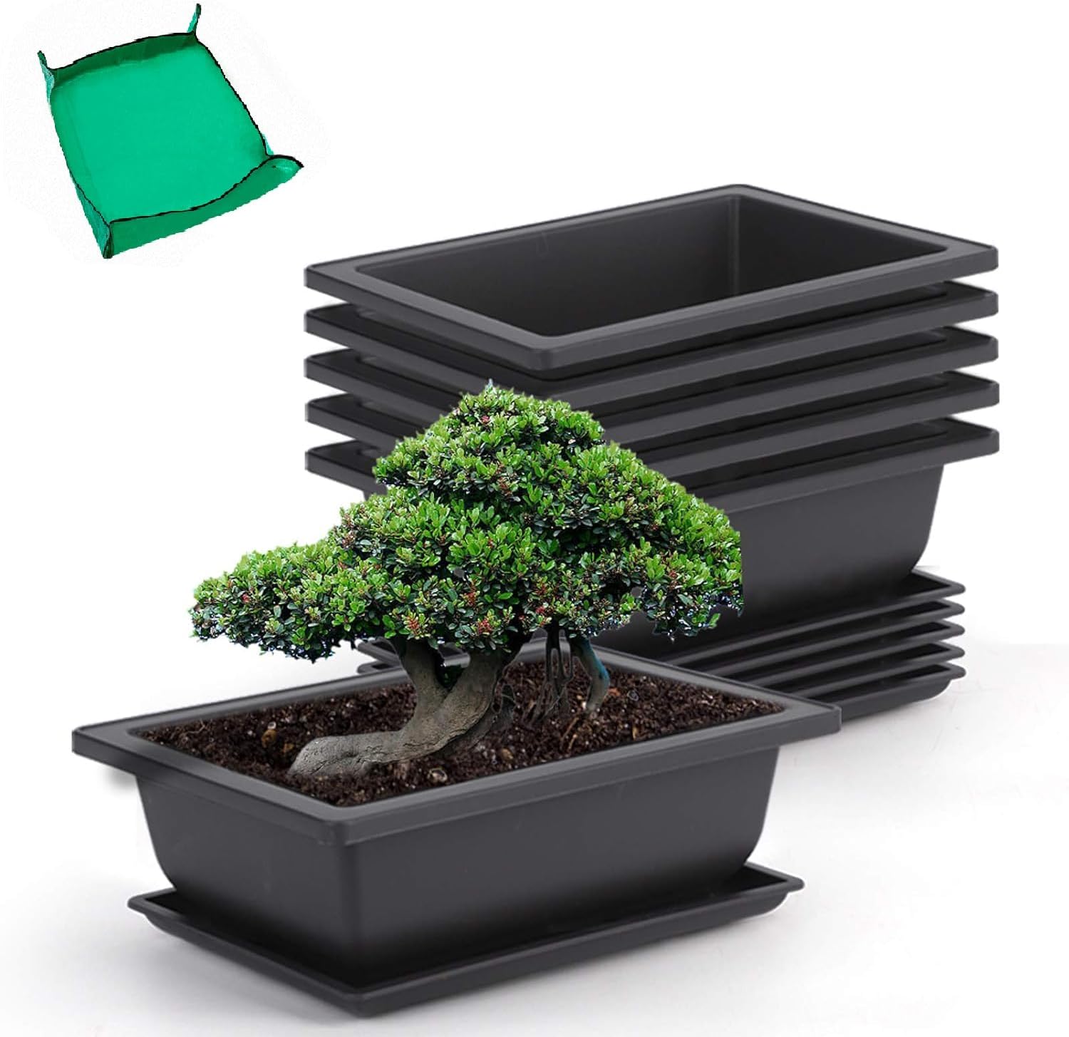 - GROWNEER 6 Pack 9 Inch Bonsai Pots with Drainage Humidity Trays, Bonsai Tree Training Kits with 1 Repotting Mat, Rectangle Planter Plants Container Growing Pot for Garden Outside Indoor