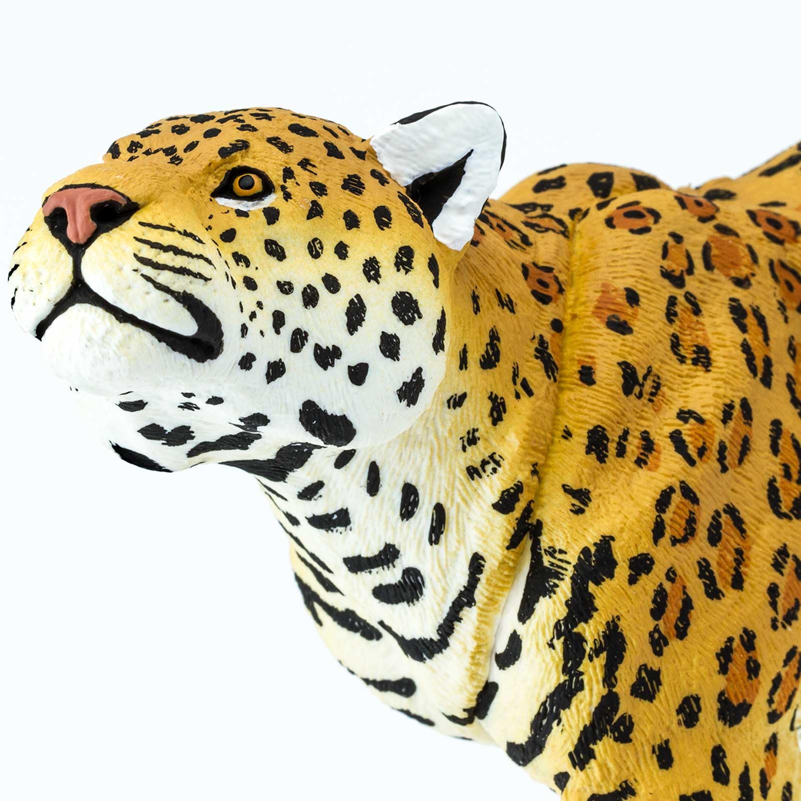 Safari Ltd 12 Figurines Miniatures de la Faune Nord-américaine | Figurines Miniatures de l'écosystème | Non-Toxique et sans BPA | Convient aux Enfants
