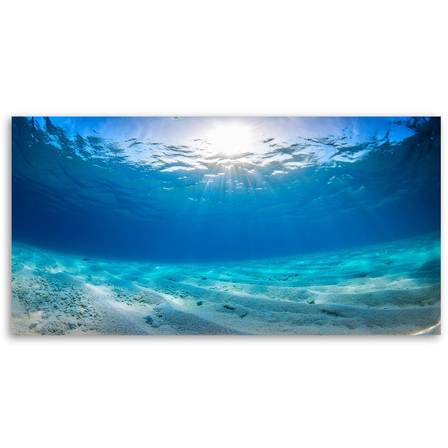 Feeby - Impression sur Toile - Tableaux Decoratifs Muraux - Profondeurs marines Nature - 120x60 1partie - Decoration Salon - Photo sur toile Cadeau - Tableau toile pour le mur