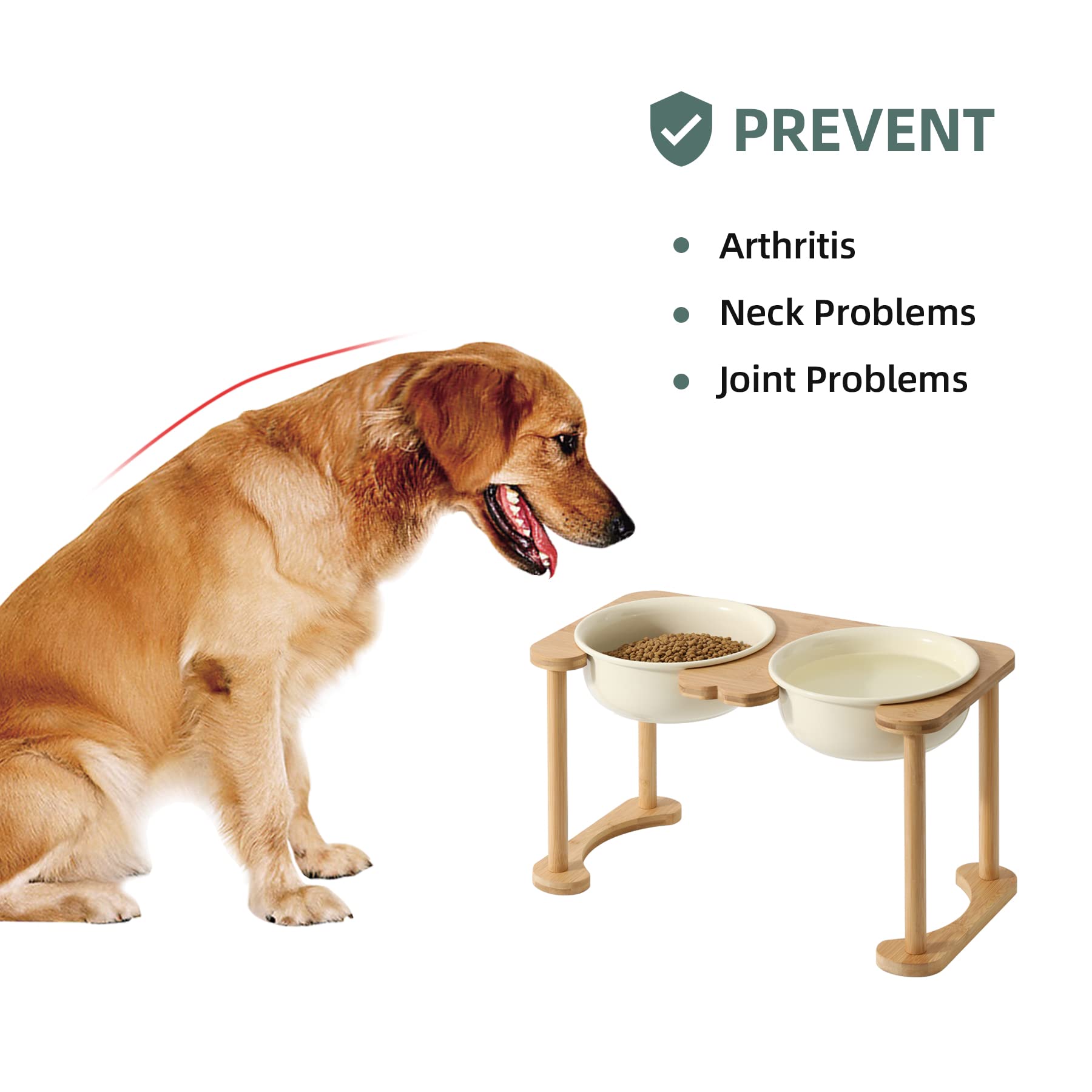 Havniva Ceramics Raised Dog Bowl with Non-Slip Stand Elevated Dog Bowl for Medium Dog Food and Water Bowl Dog Dish Pet Feeding Bowl (Double 8.25" Bowl, Cream White)