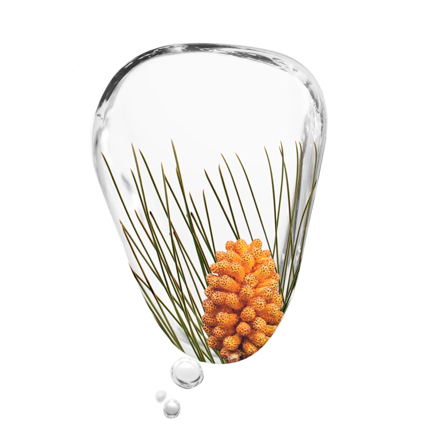 KORRES Black Pine Primus 6x Hyaluronic Complex Serum, Lightweight Wrinkle-Smoothing Water Gel, Vegan Face & Neck Hydration with Pine Bud Extract, 1.01 fl oz