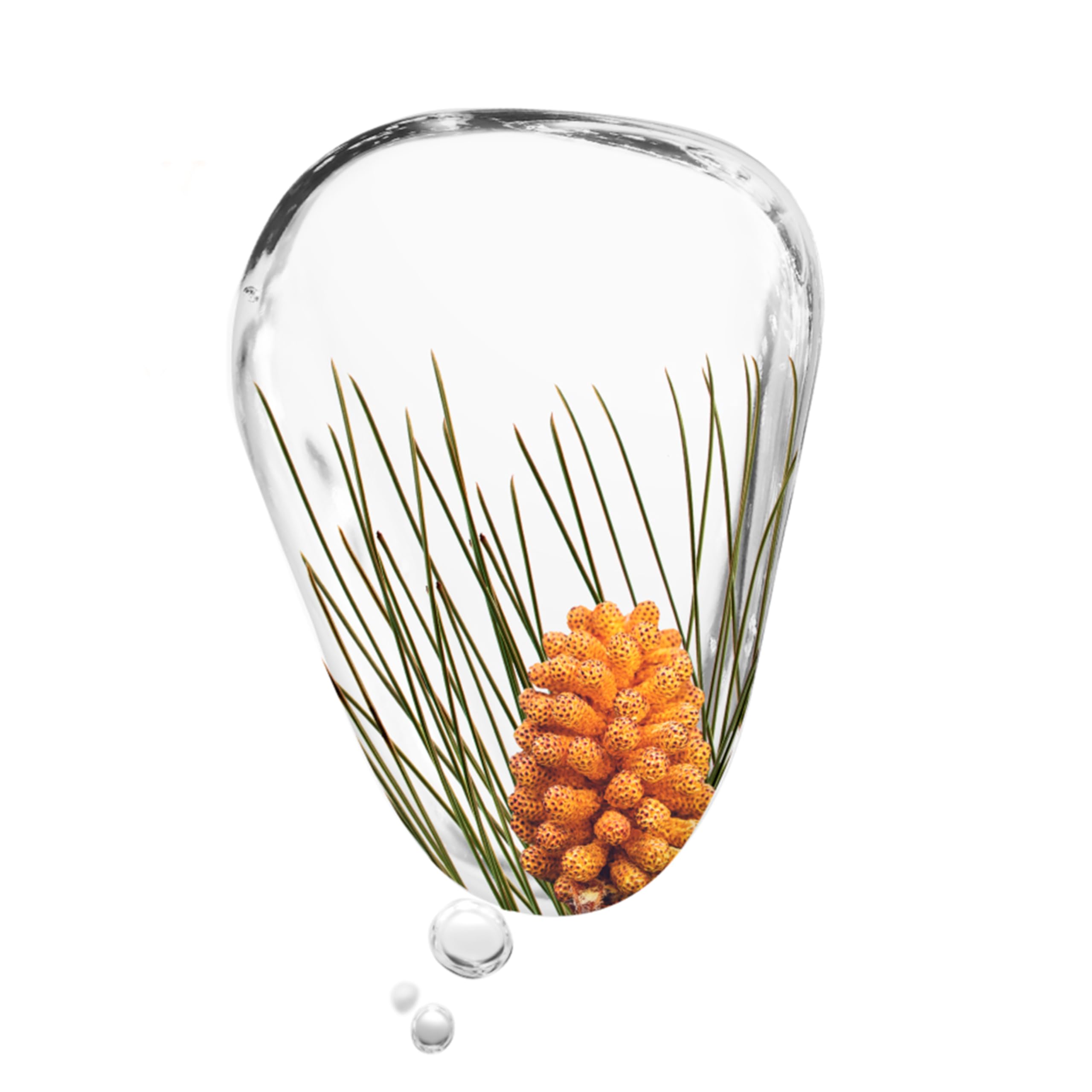 KORRES Black Pine Primus 6 kat hiyalüronik asit takviyesi, kırışıklık giderme için, yaşlanma karşıtı serum, genç görünümlü ciltler için, silikon ve paraben içermez, vegan, 30 ml