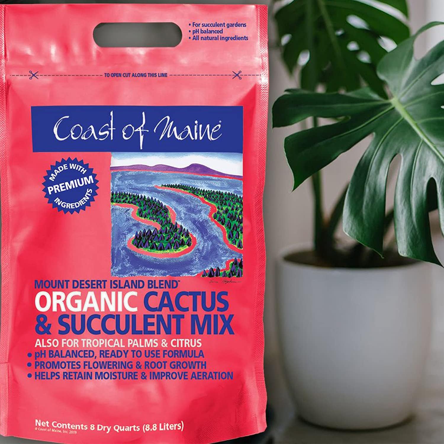 Coast of Maine Mount Desert Island Blend, 8qt (Pack of 2) Organic and Natural, Cactus and Succulent Mix - Tropical Palms and Citrus Plants