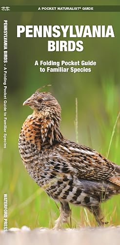 Pennsylvania Birds: A Folding Pocket Guide to Familiar Species (Wildlife and Nature Identification)