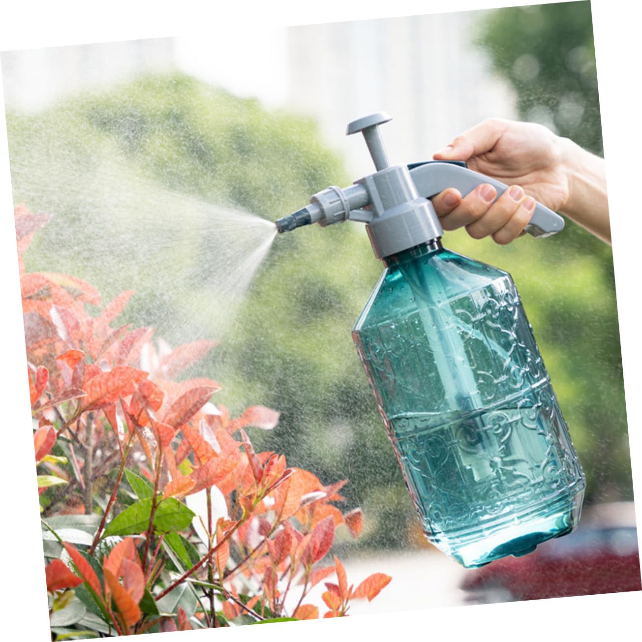 ibasenice 2 Pièces Arrosoir Bouclage De Brume Brumisateur Pour Plantes De Jardin Brumisateur D'arrosage De Jardin Bouteille D'eau Pulvérisée Pulvérisateur Arroseur Pour Bleu Plastique