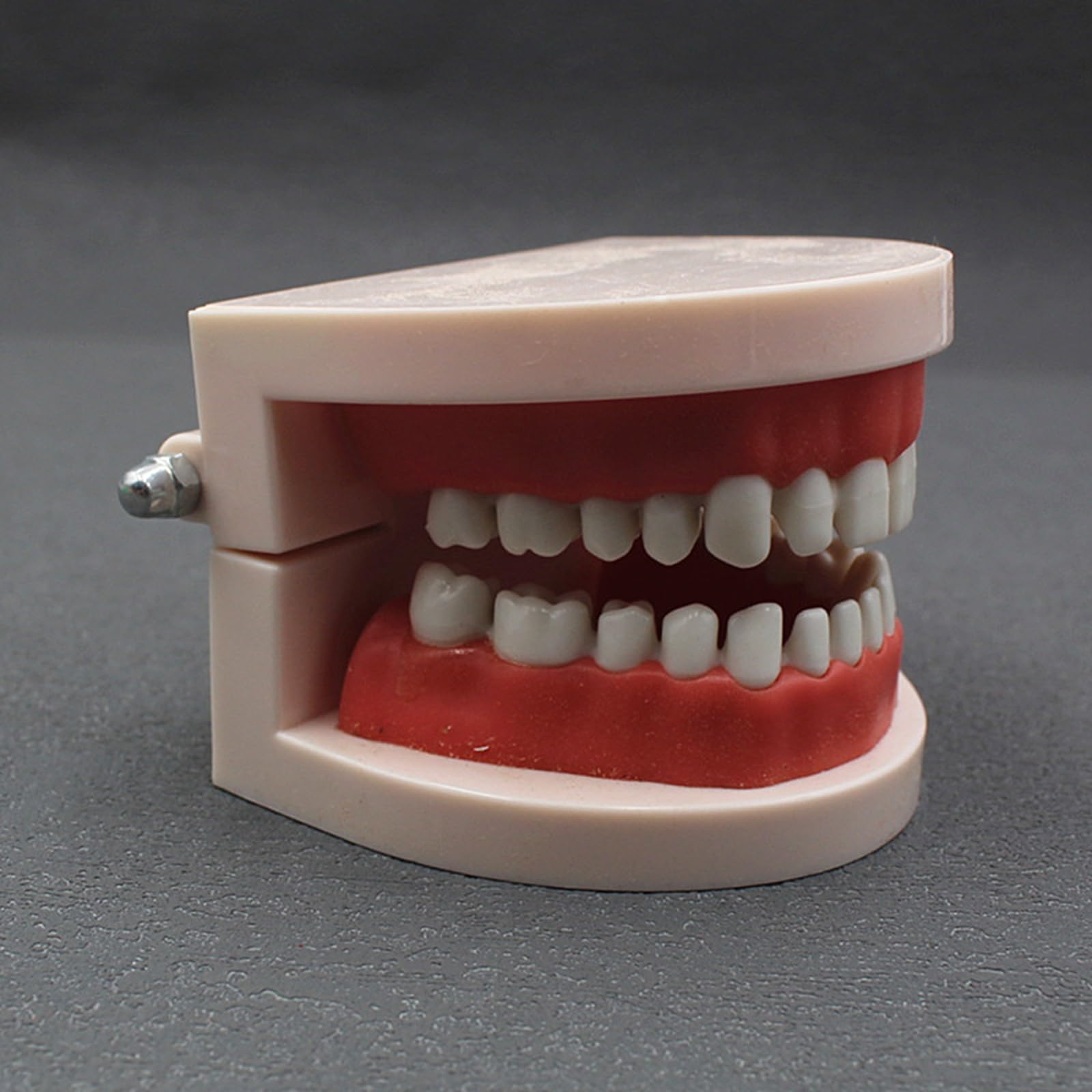 Kit diga in Gomma endodontica Dentale - Set di Strumenti per la Pratica della Scheda di punzonatura della diga in Gomma - per l'educazione scientifica all'esame Orale Dentale,B,25cm